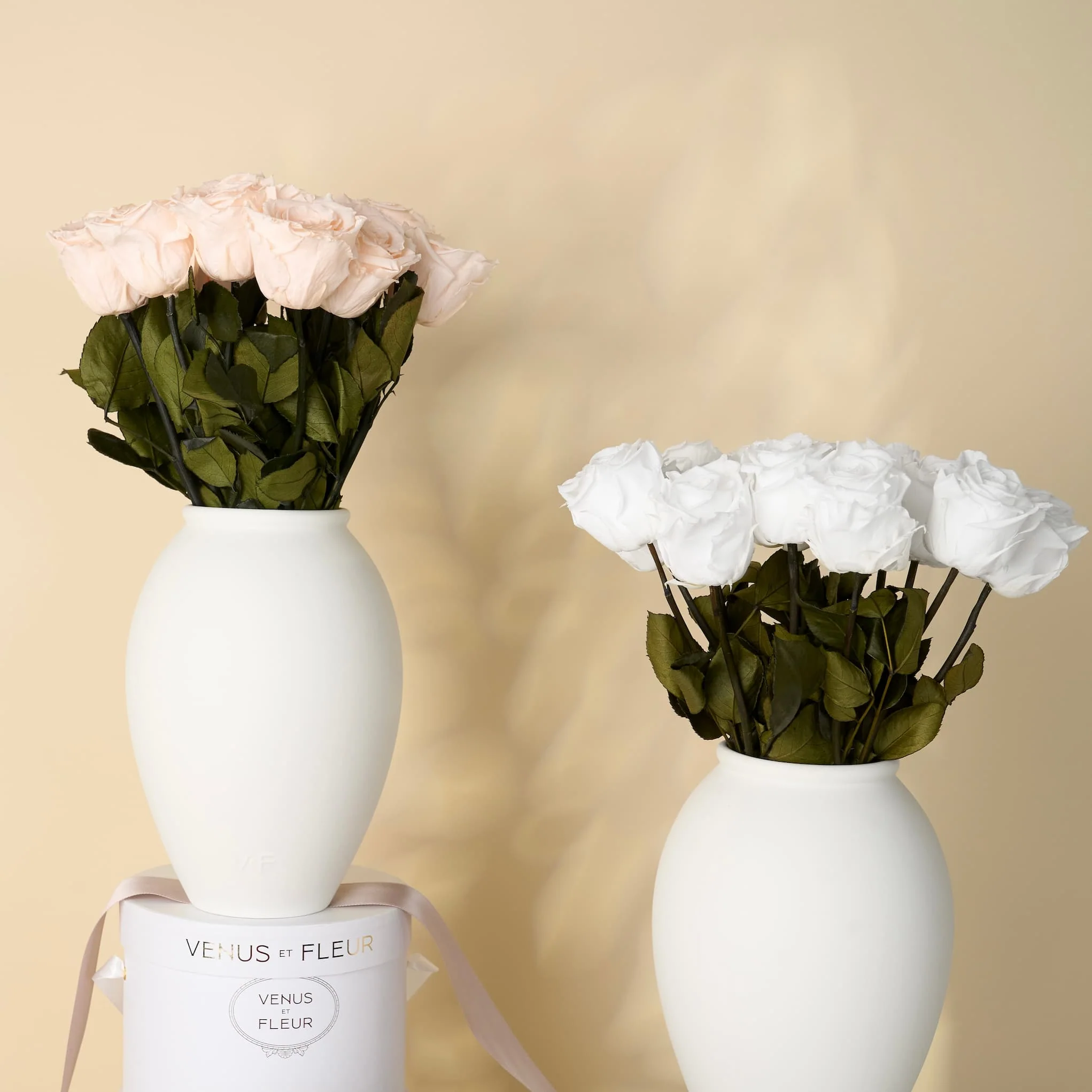 Amphora Porcelain Vase - Image 6