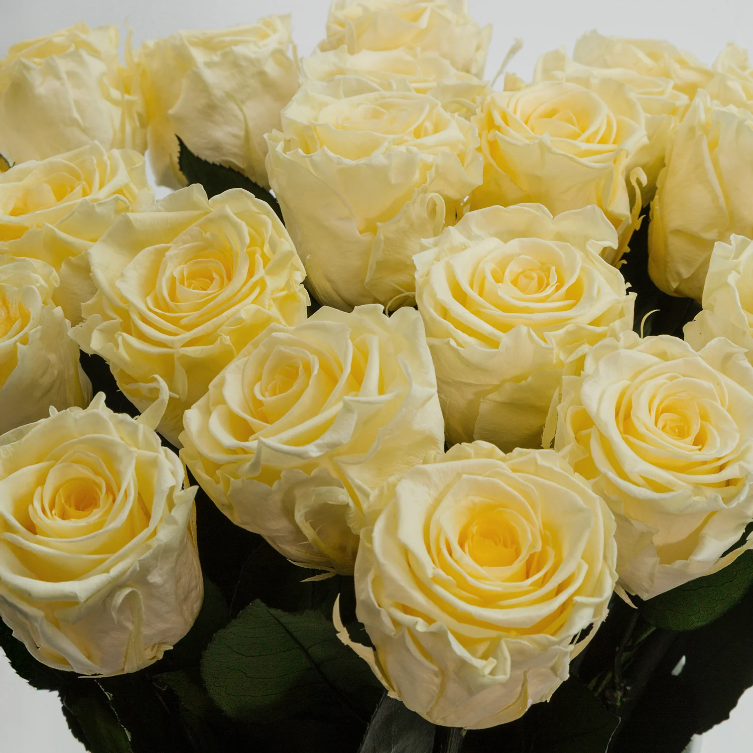 Aphrodite Porcelain Vase - Image 13