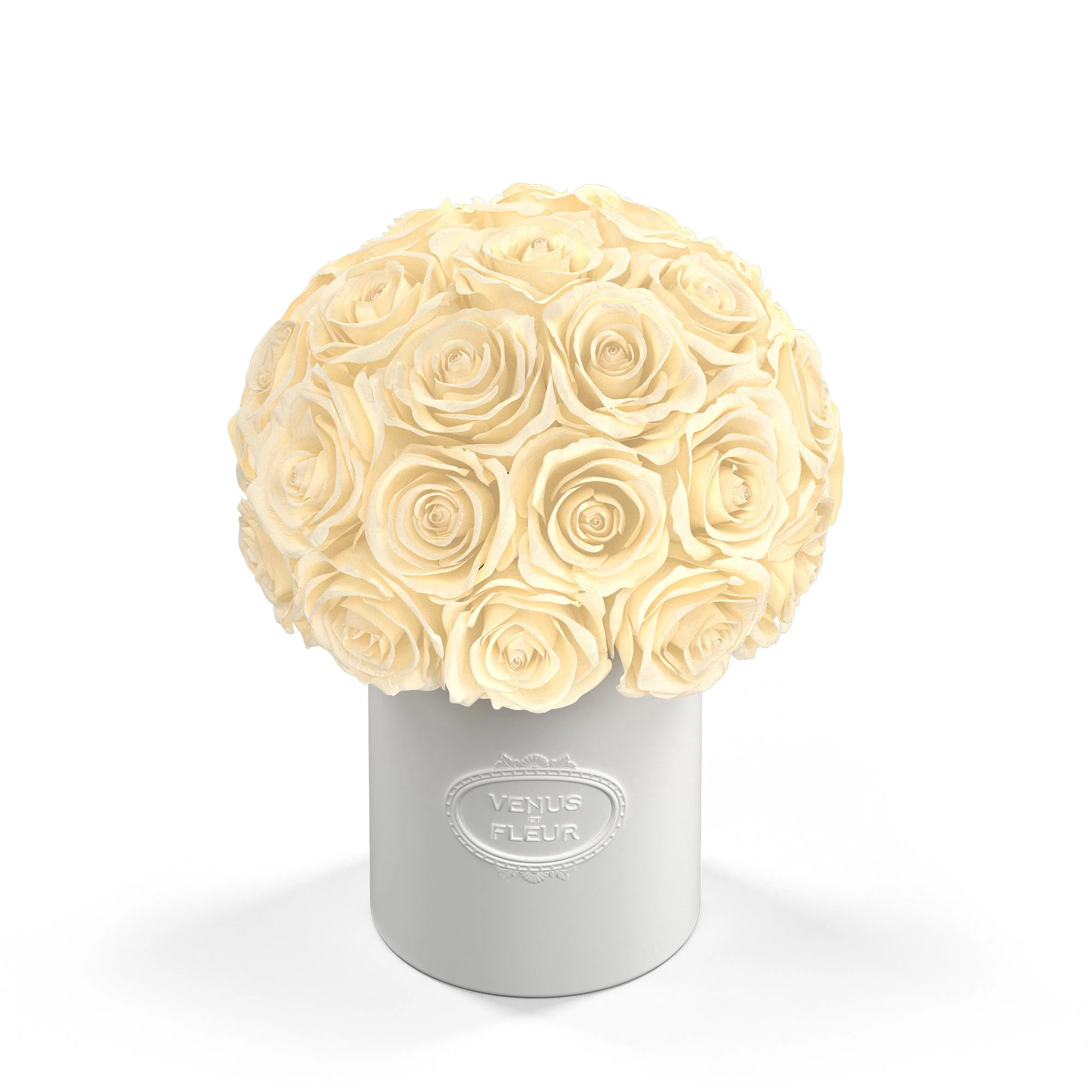 Fleura Porcelain Vase - Image 6