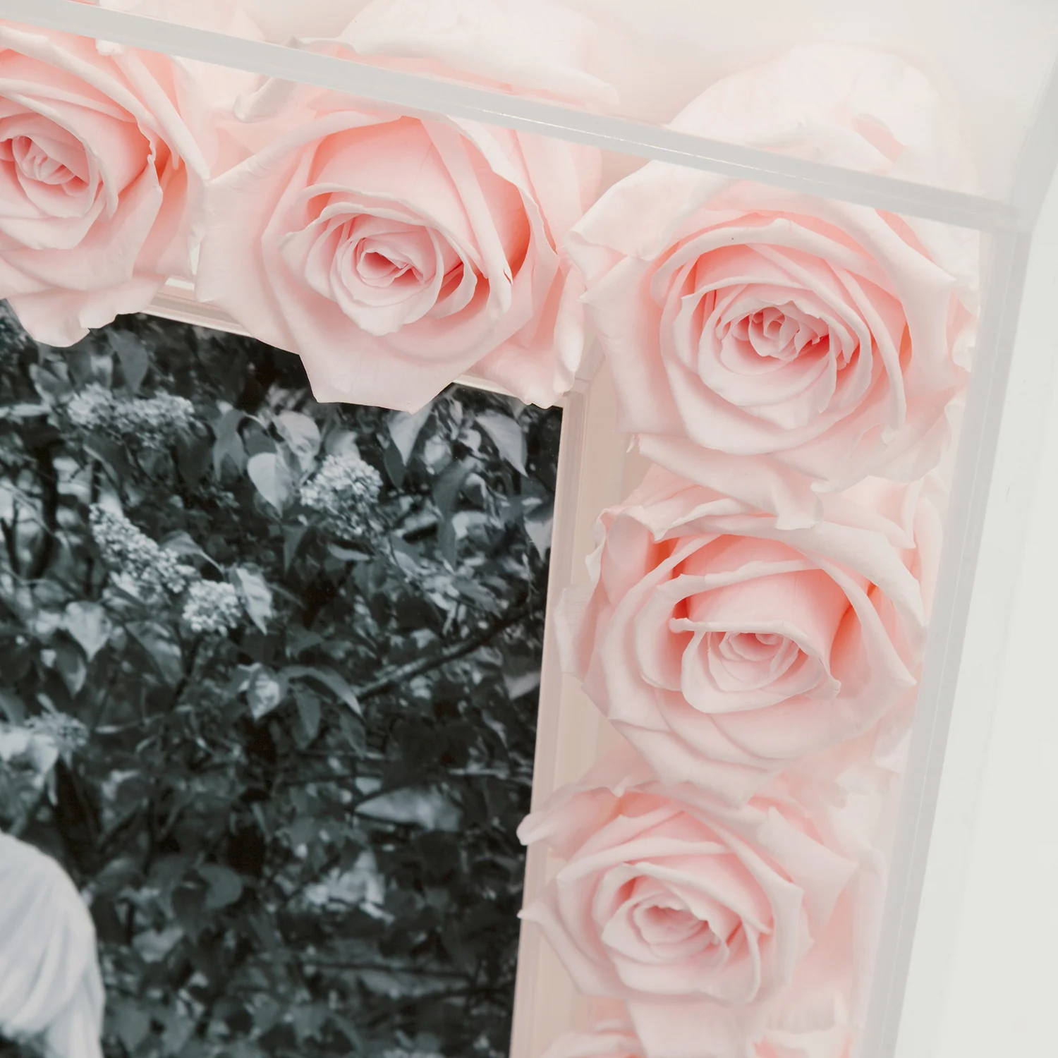 Grand Fleur Frame - Image 7