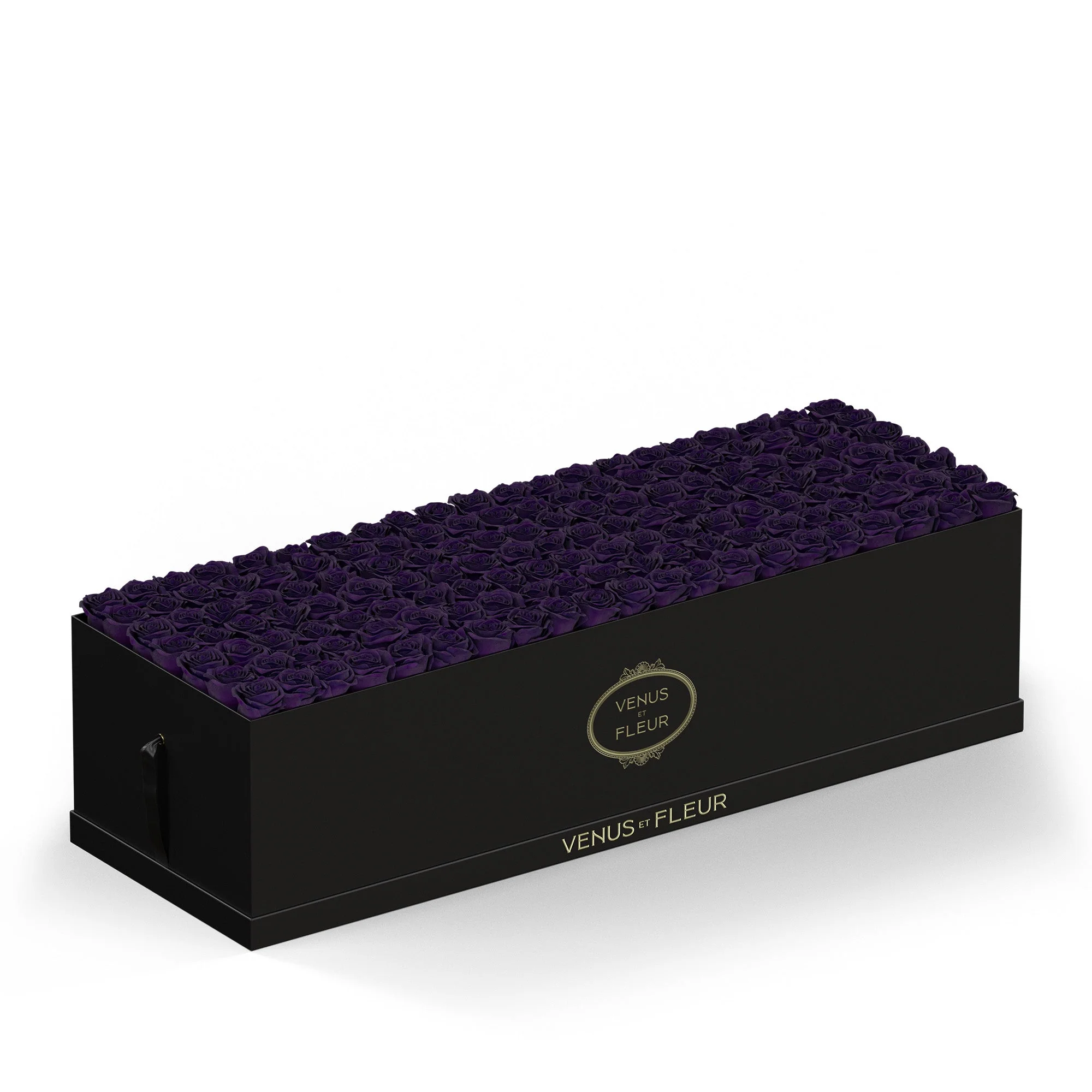 Grandiose - Image 10