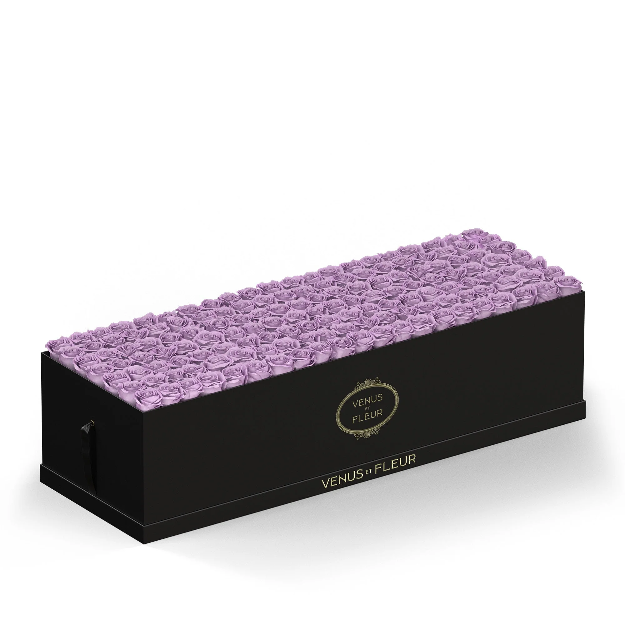 Grandiose - Image 11