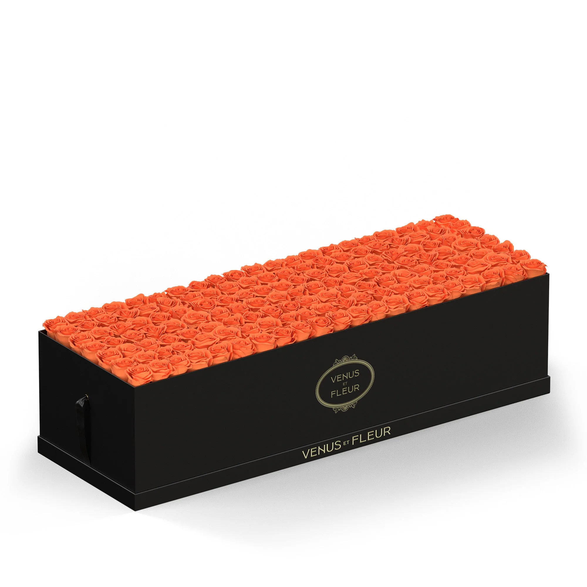 Grandiose - Image 14