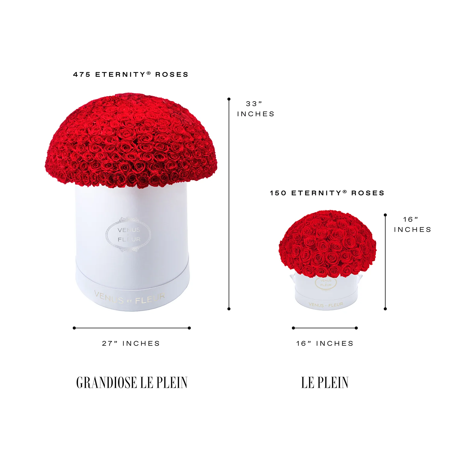 Grandiose Le Plein - Image 3