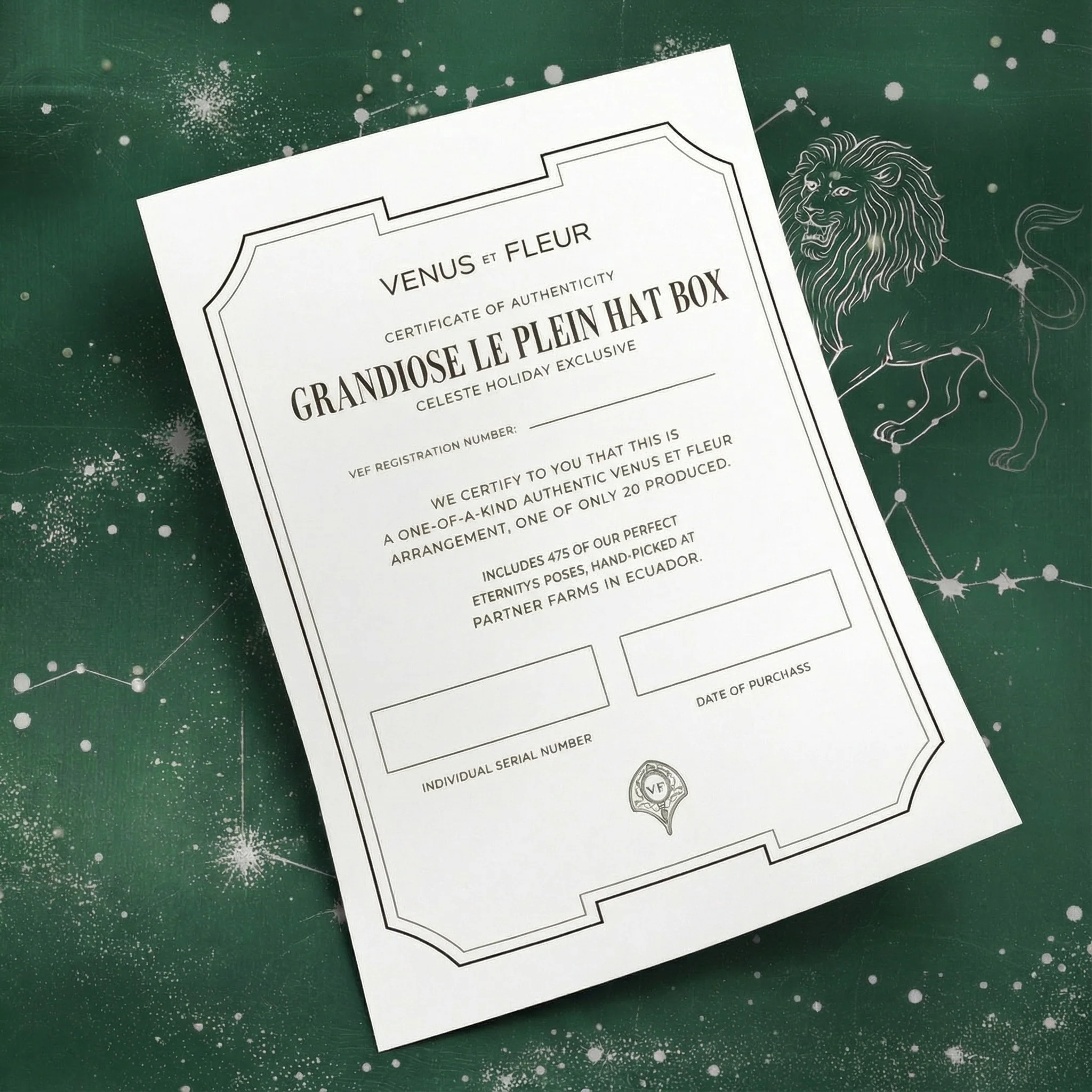 Grandiose Le Plein - Image 4