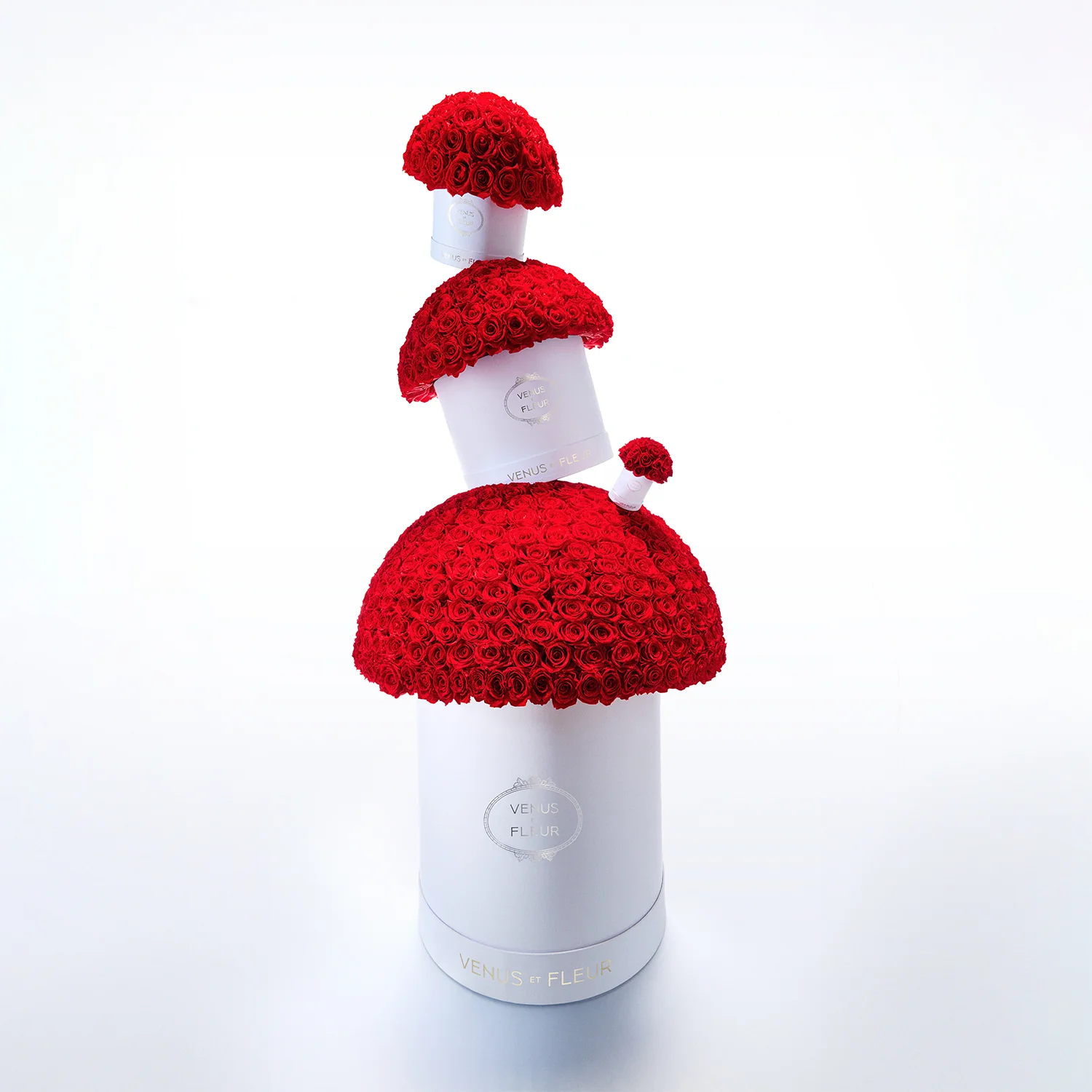 Grandiose Le Plein - Image 6