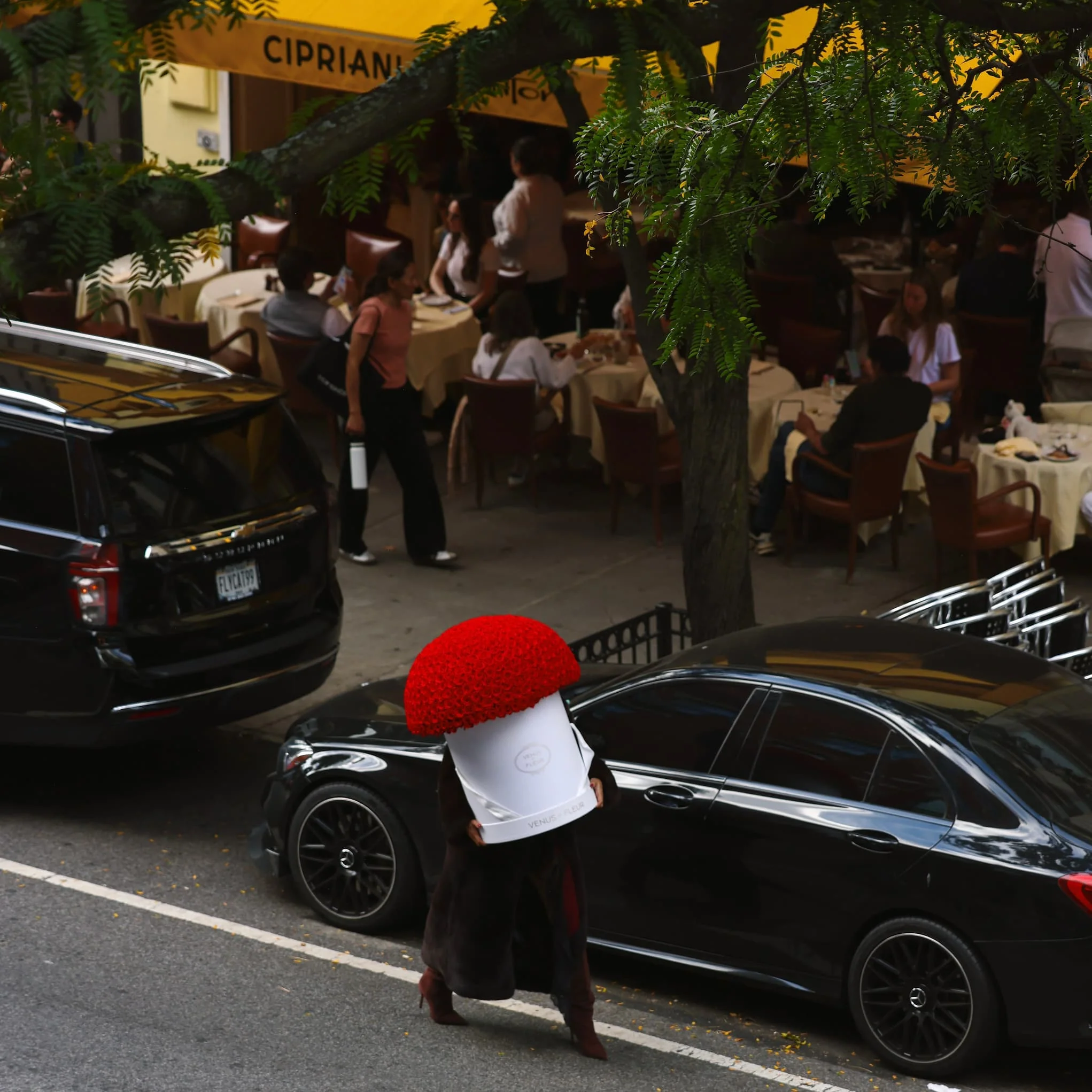 Grandiose Le Plein - Image 7