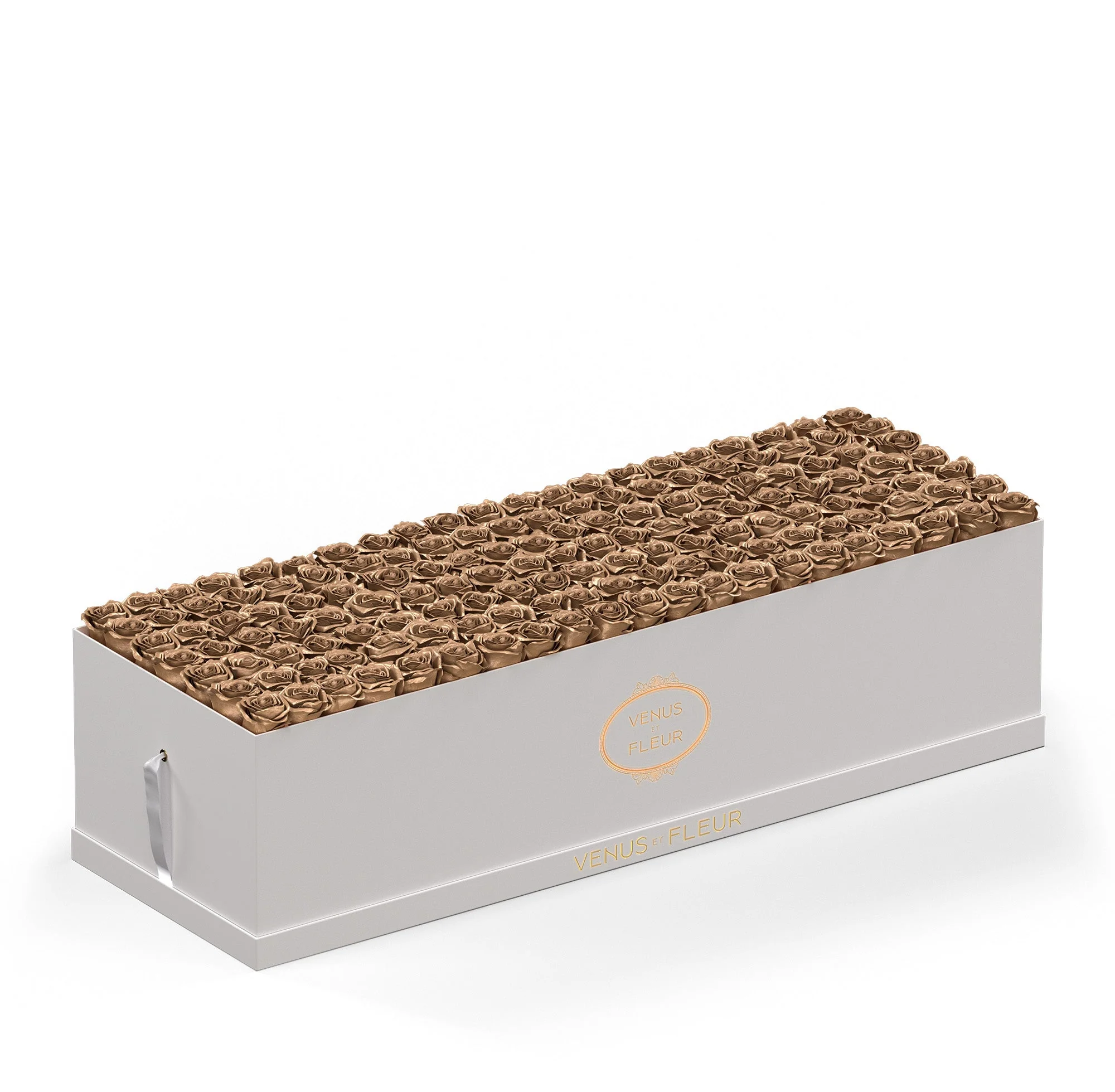 Grandiose - Image 11