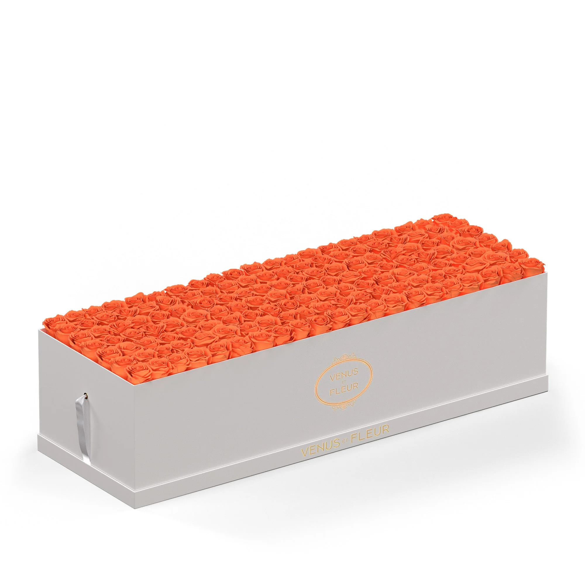 Grandiose - Image 13