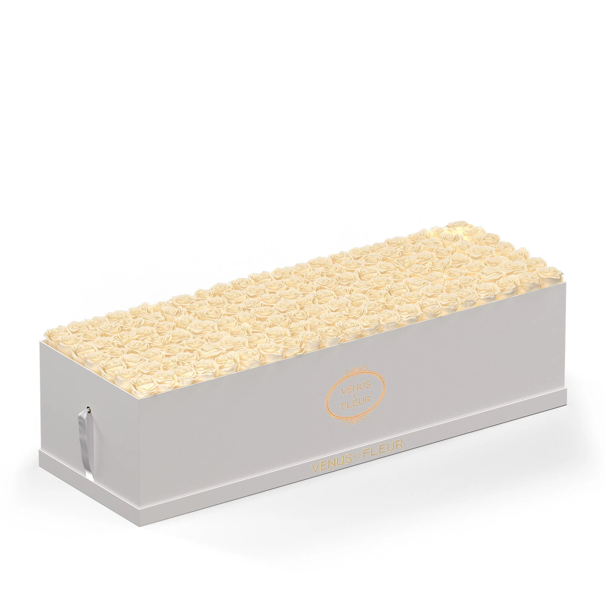 Grandiose - Image 14