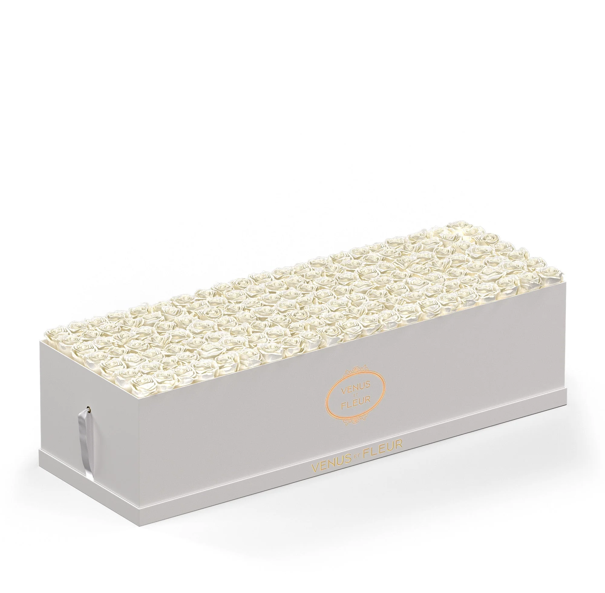 Grandiose - Image 15