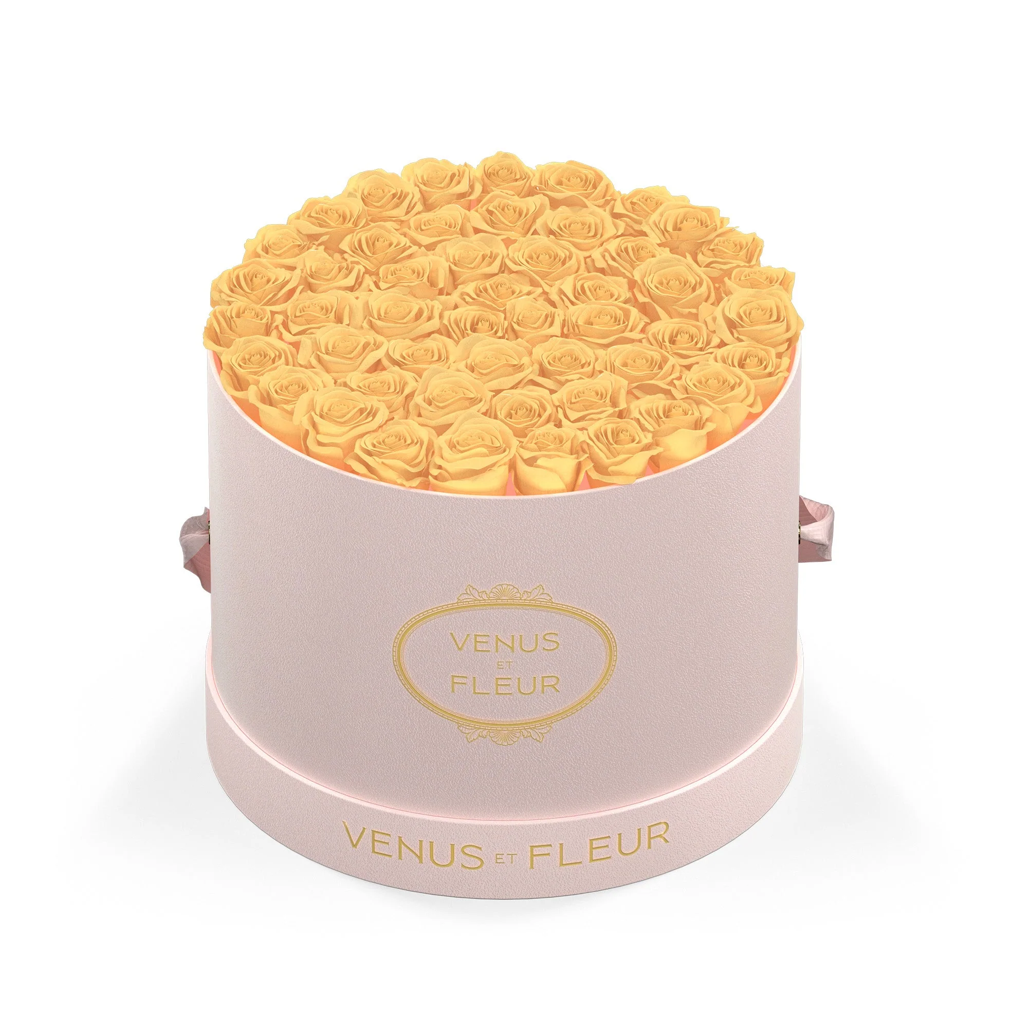 Large Round - Image 3