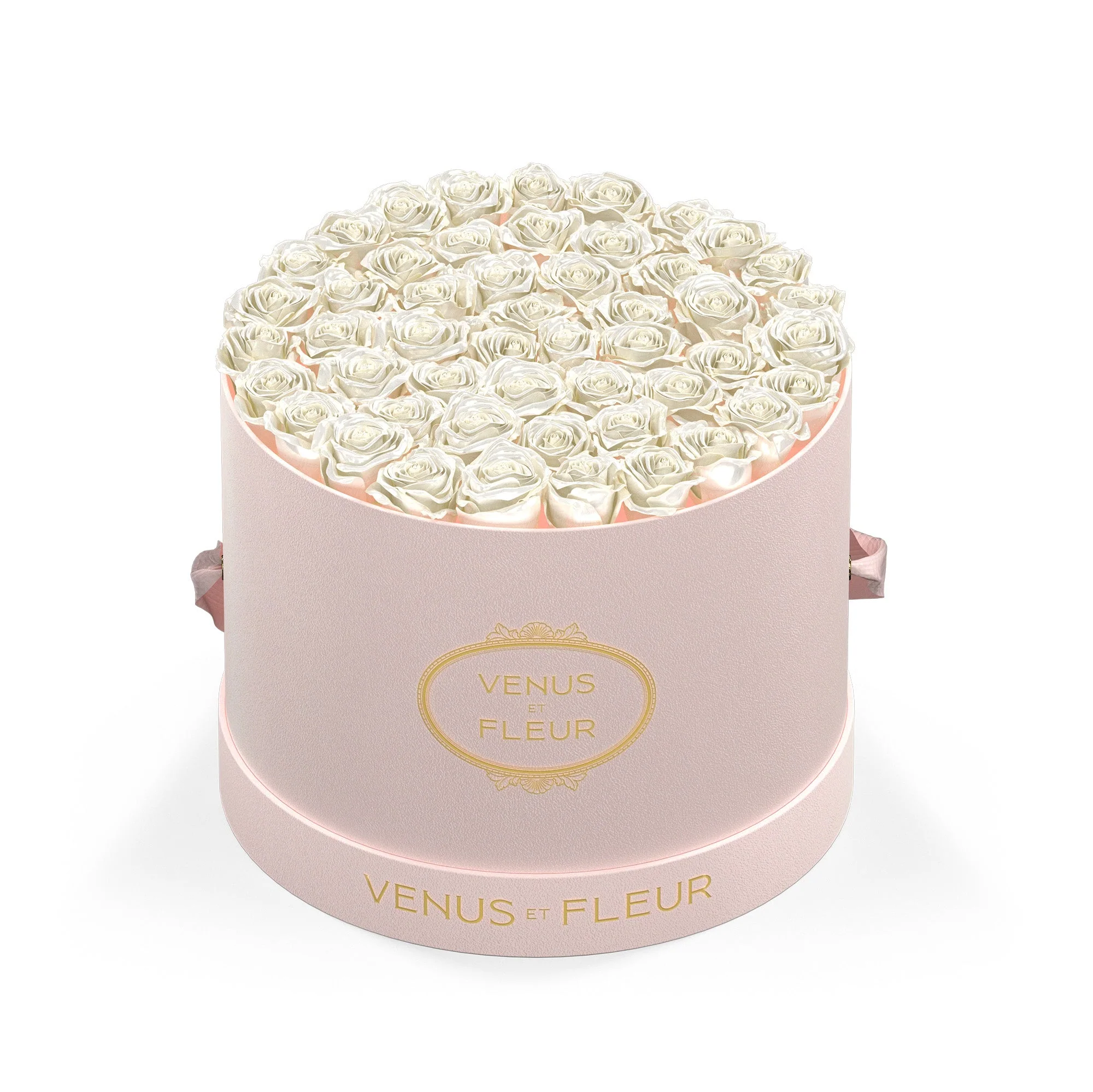 Large Round - Image 5