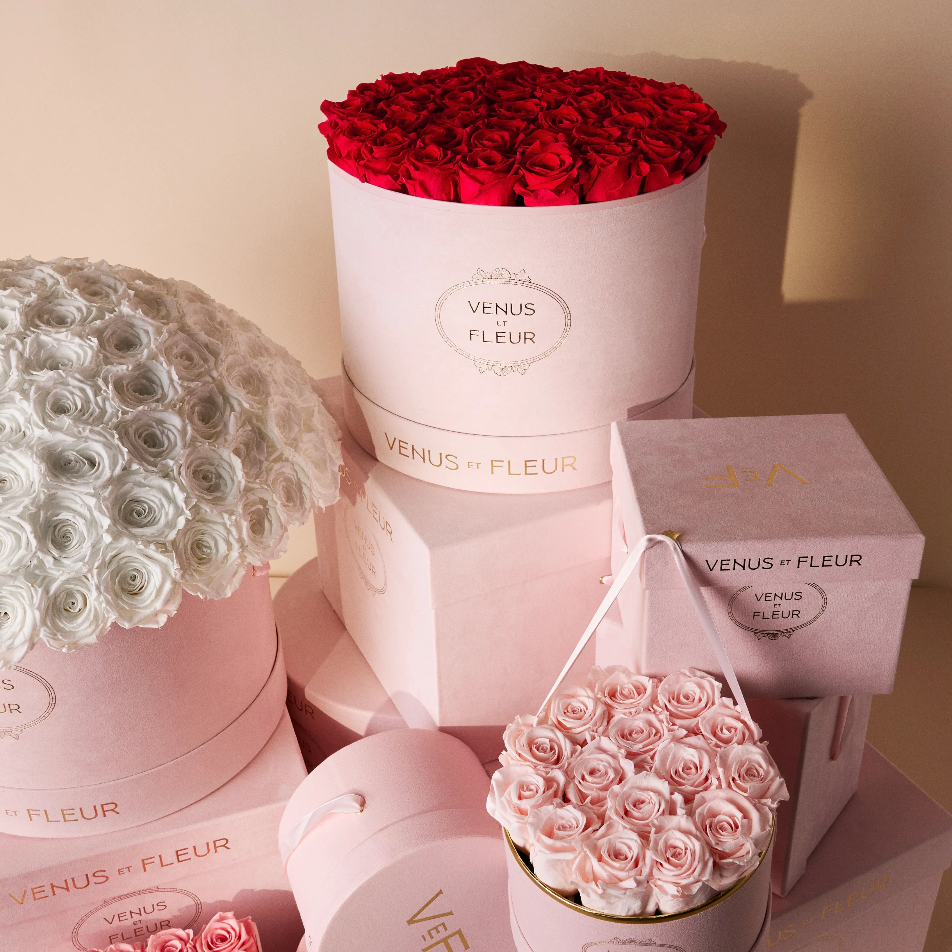 Large Round - Image 7