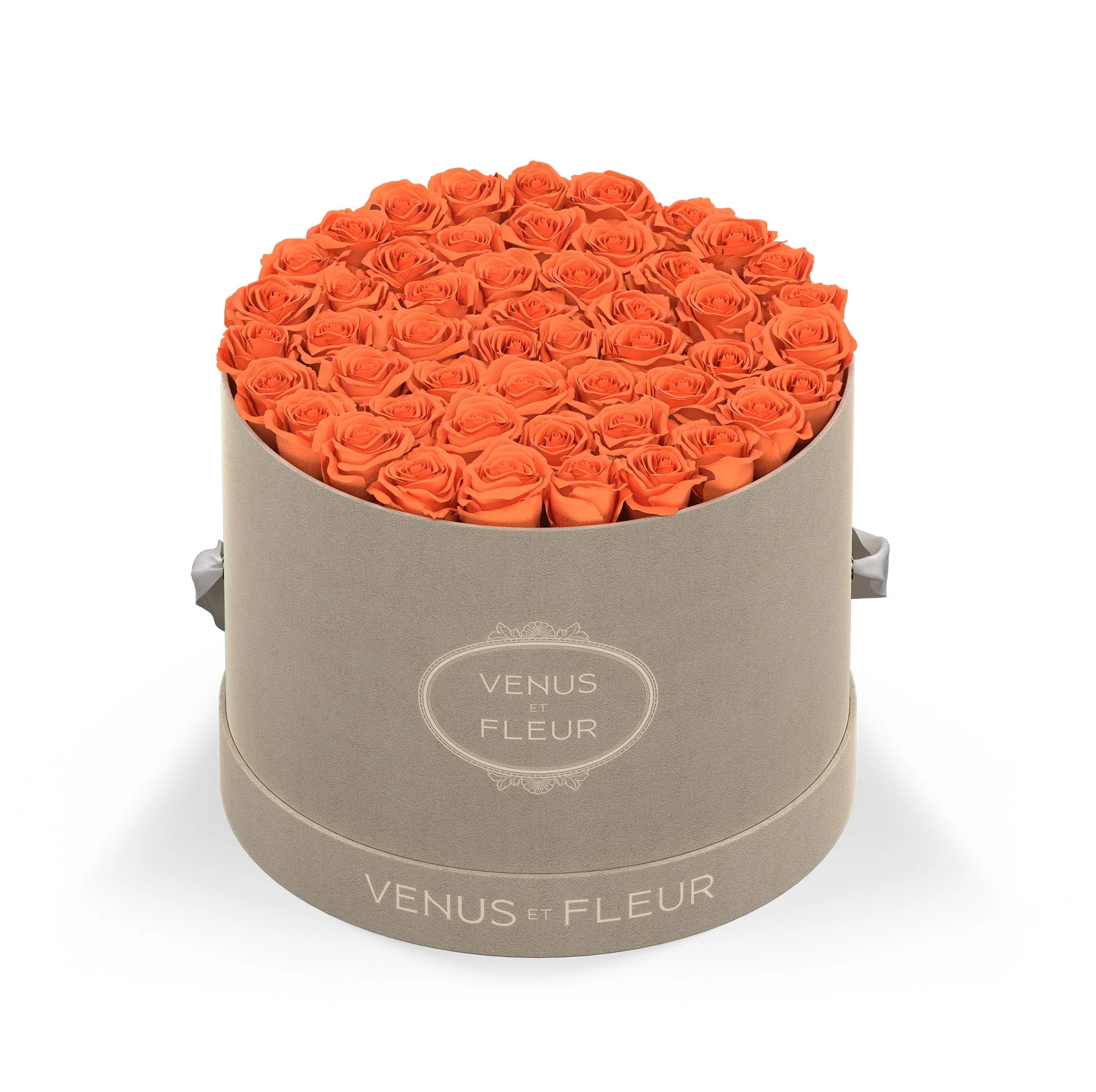 Large Round - Image 4