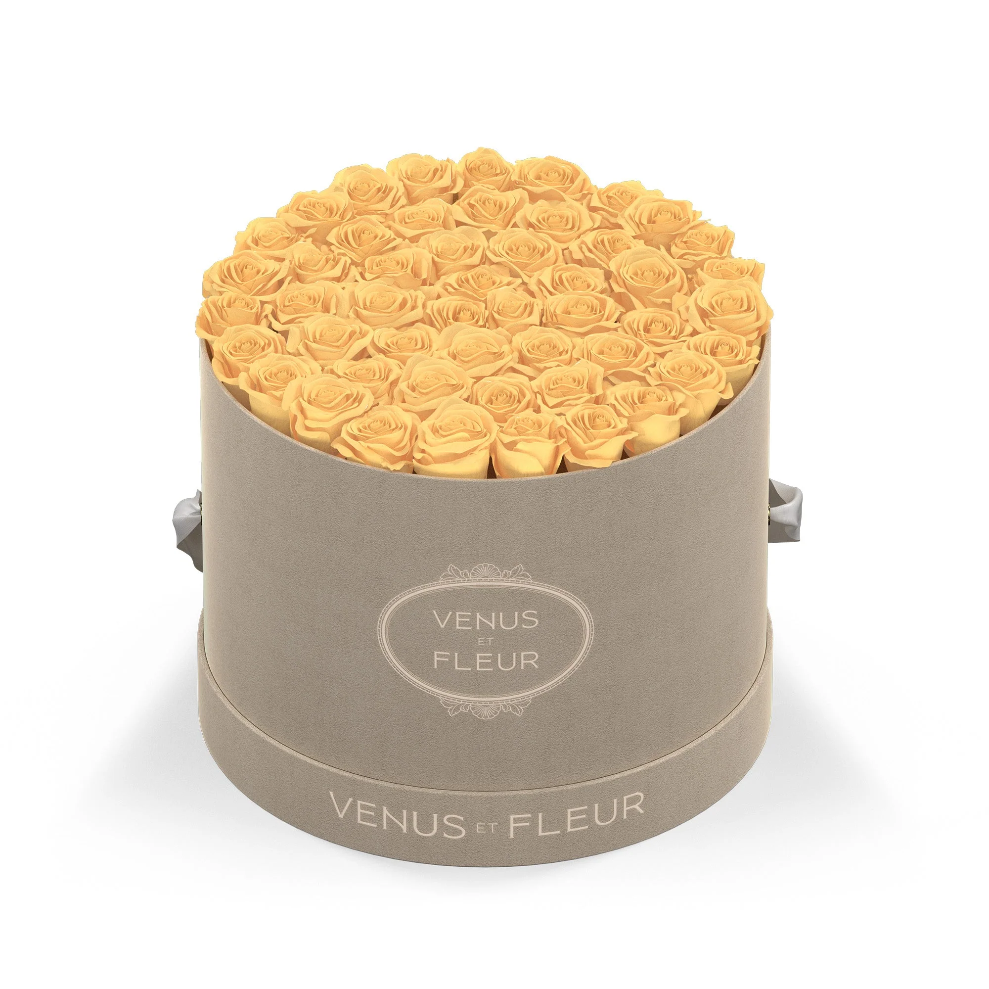 Large Round - Image 7