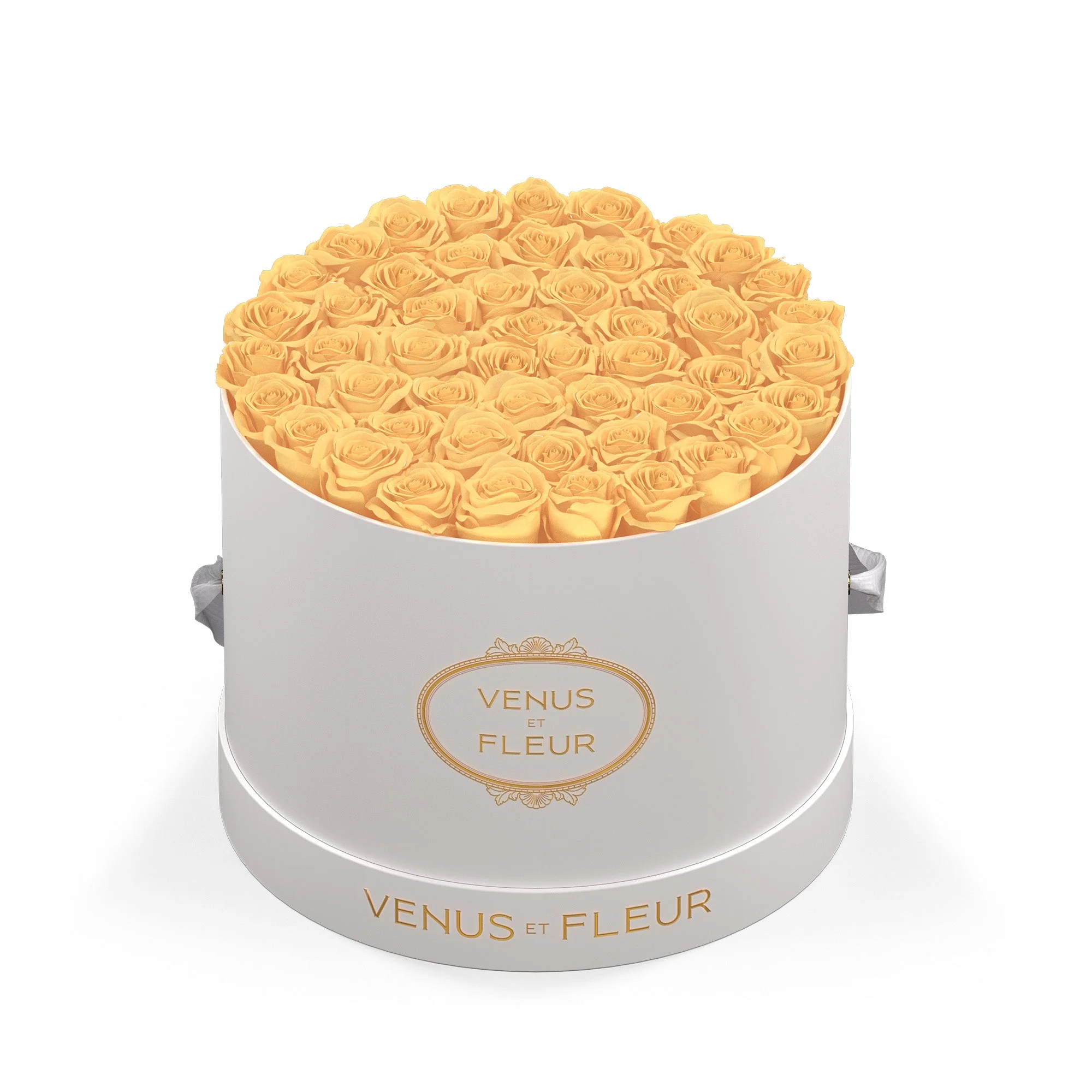 Large Round - Image 11