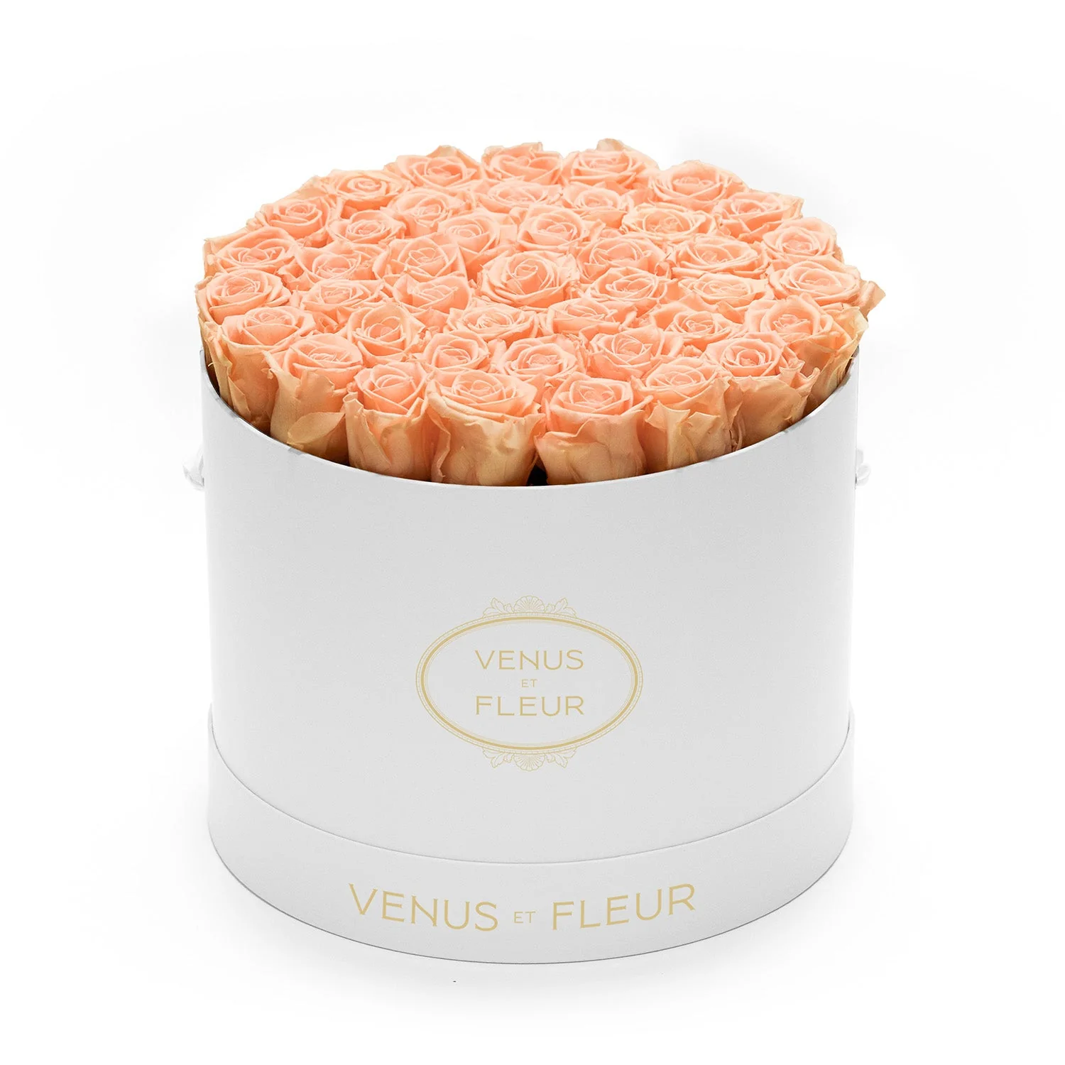 Large Round - Image 14