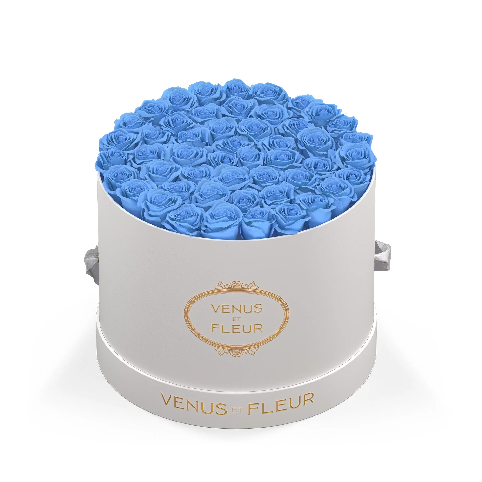 Large Round - Image 15