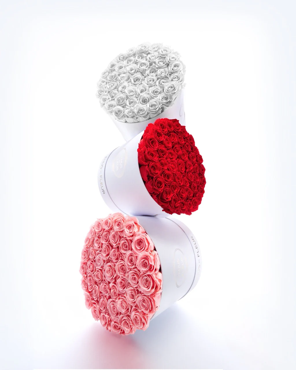 Large Round - Image 17