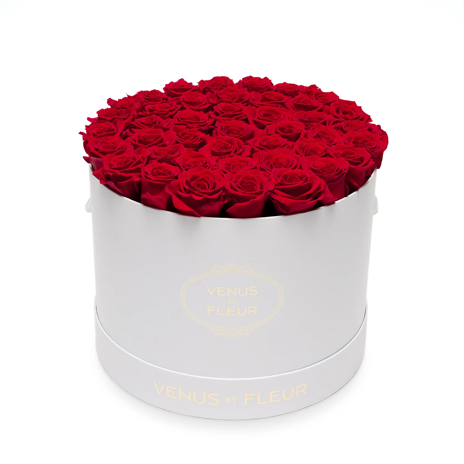 Large Round - Image 22