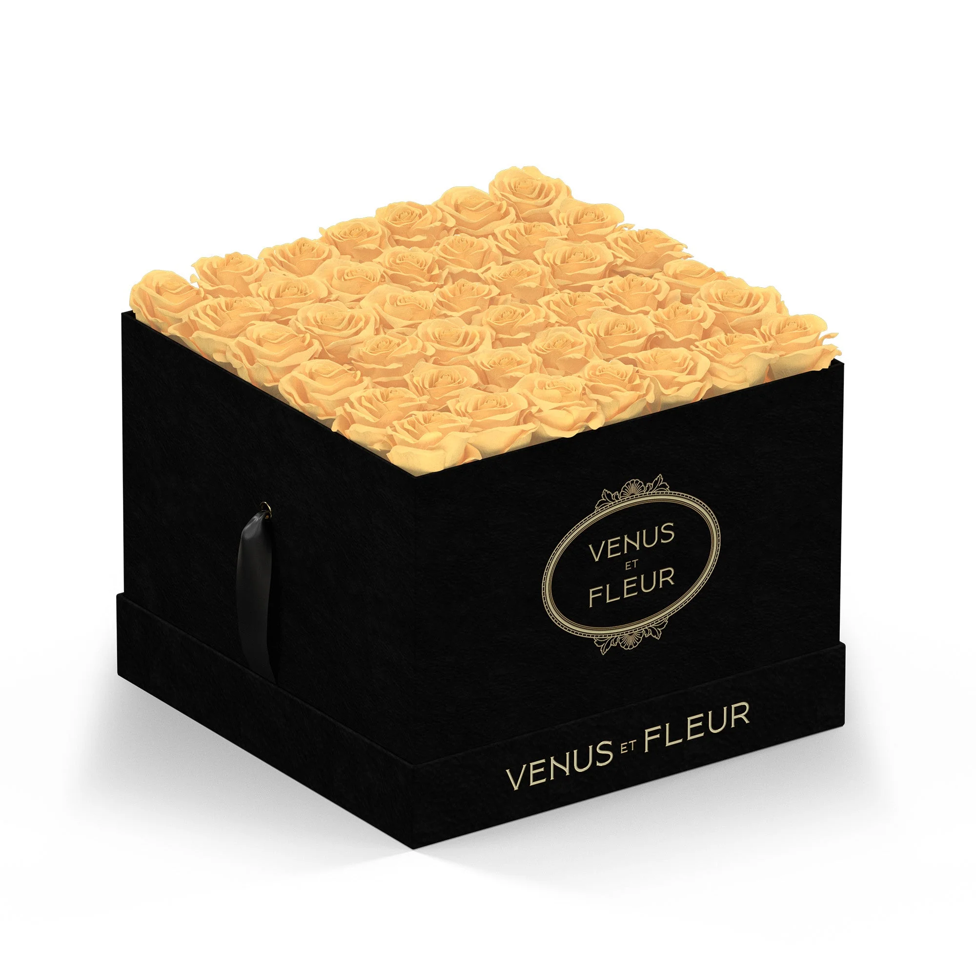 Large Square - Image 4