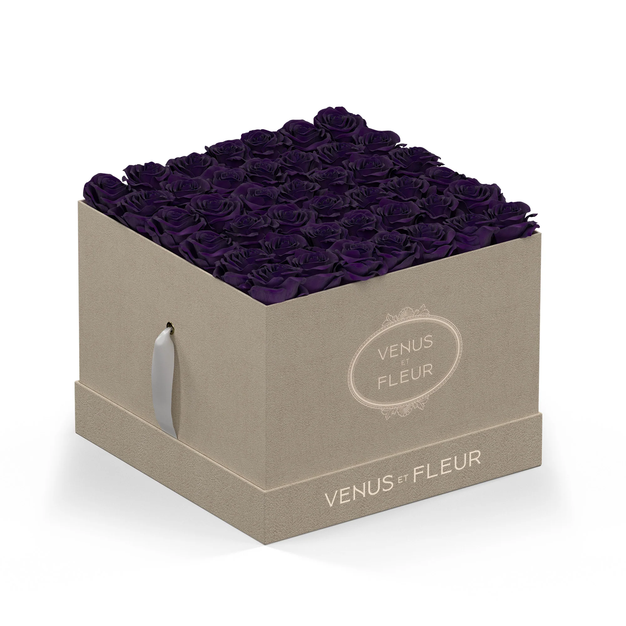 Large Square - Image 4