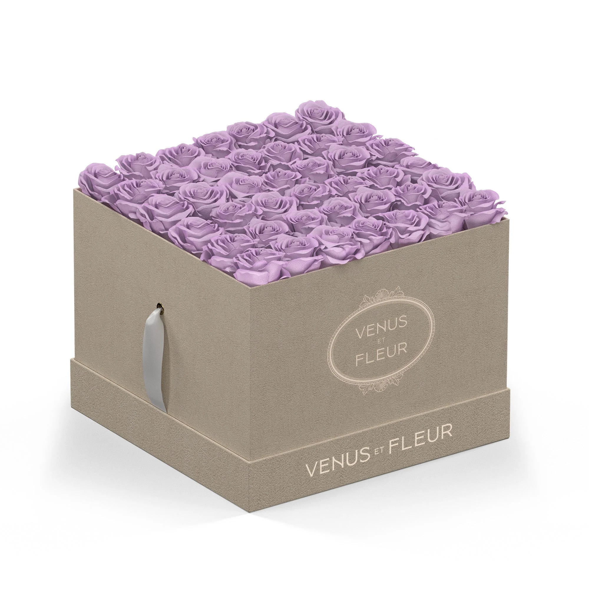 Large Square - Image 5