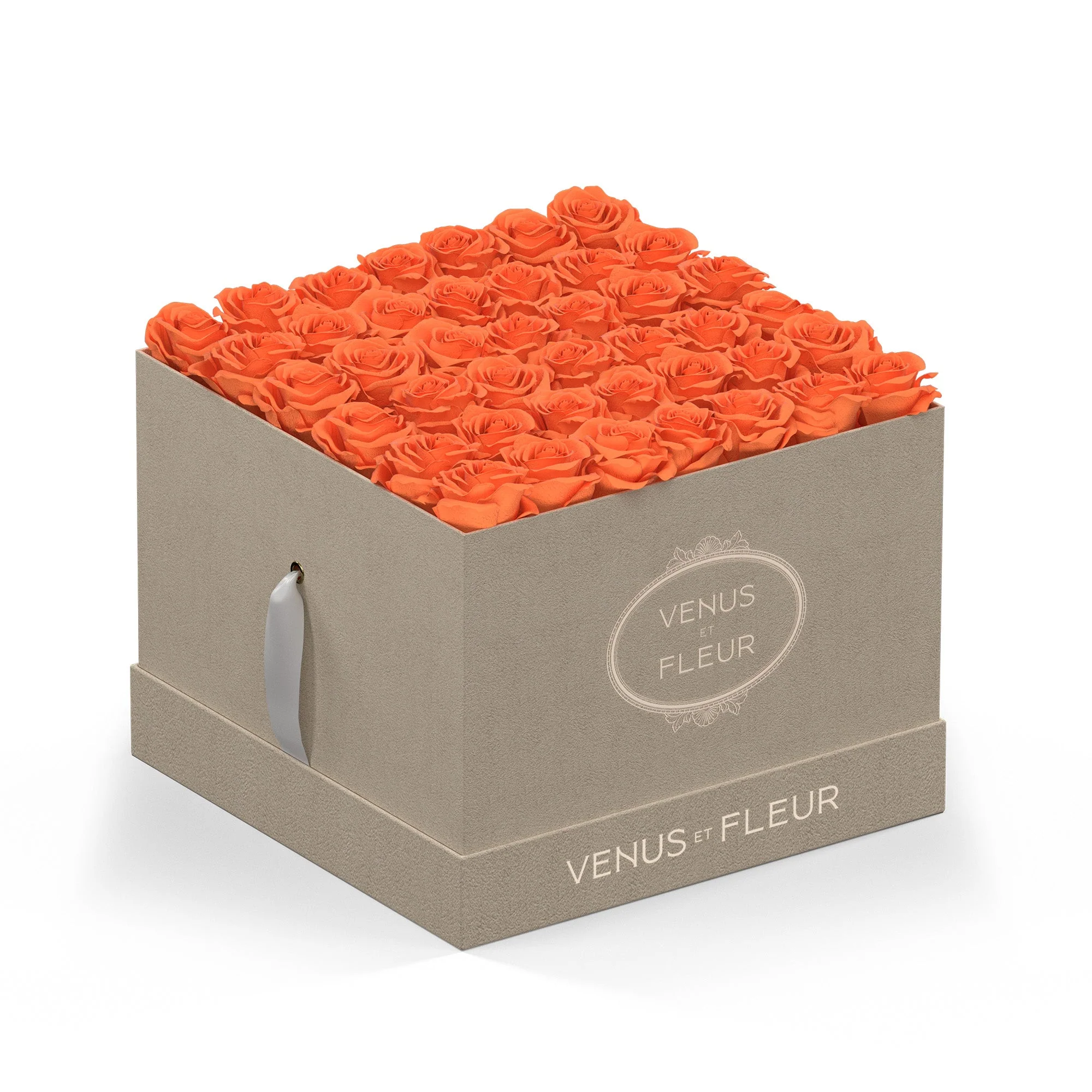 Large Square - Image 6