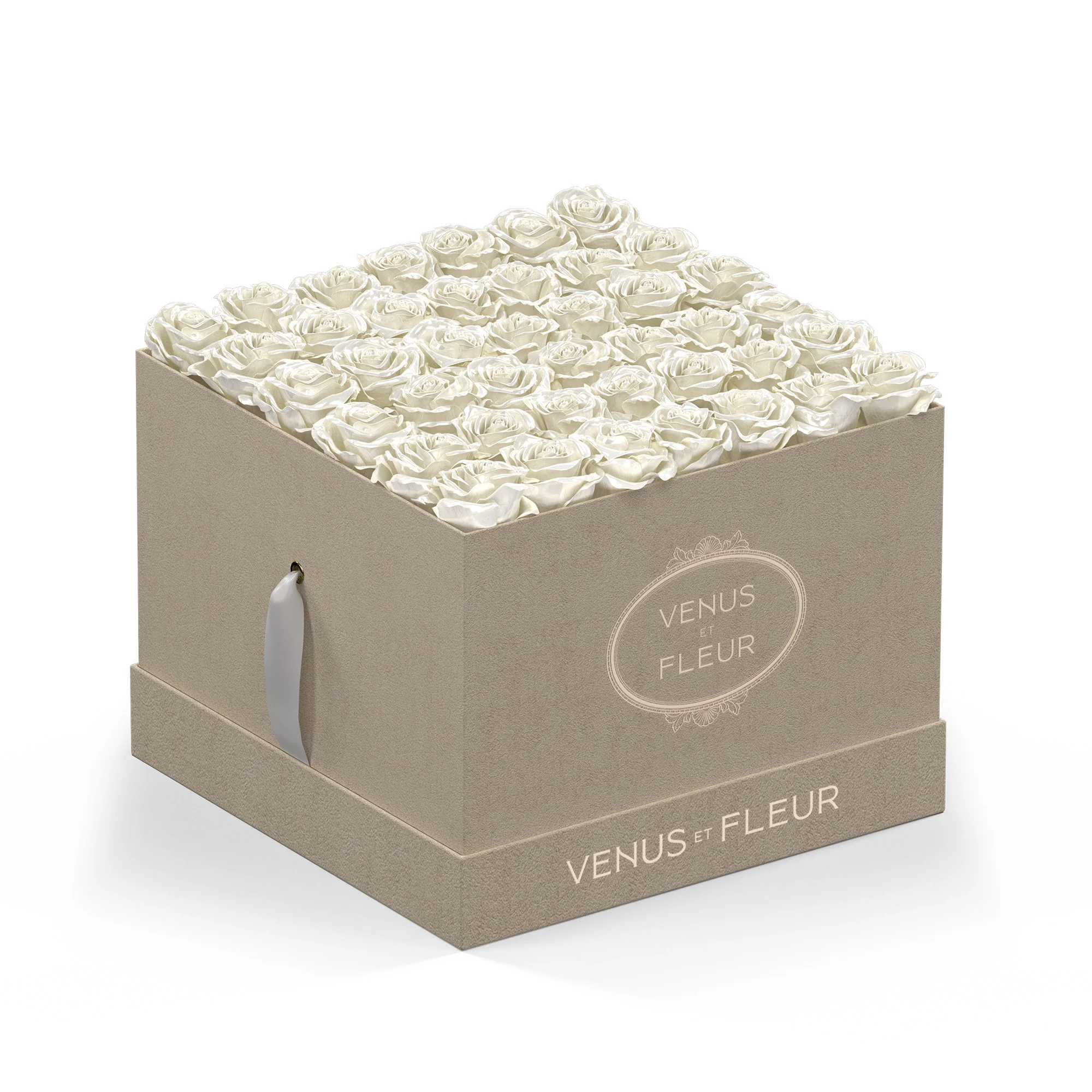 Large Square - Image 8