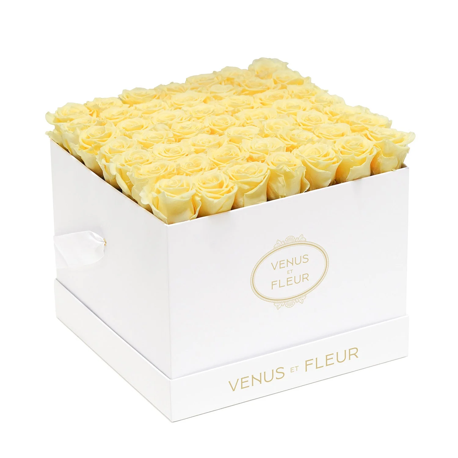 Large Square - Image 11