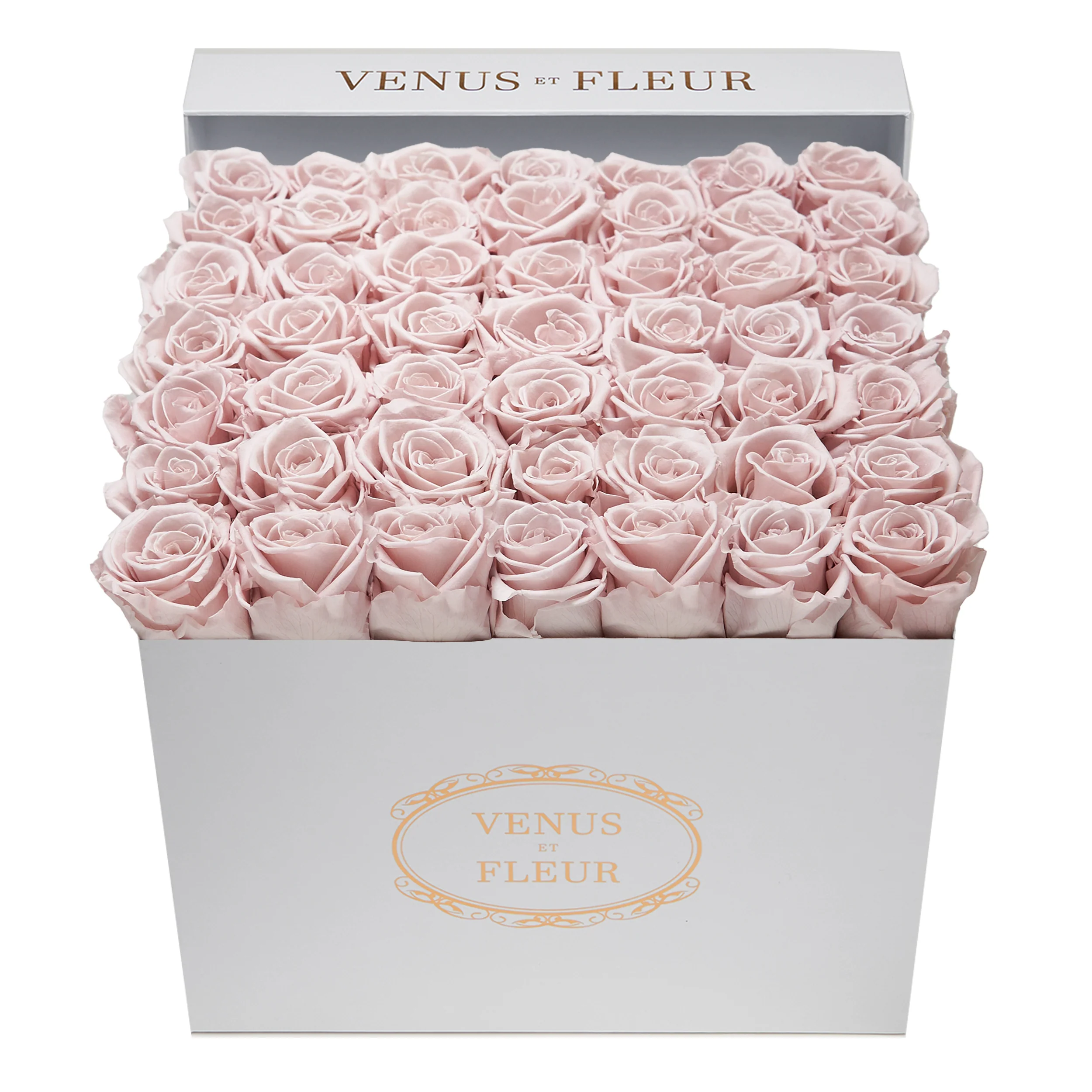 Large Square - Image 16