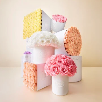 Large Square - Image 17