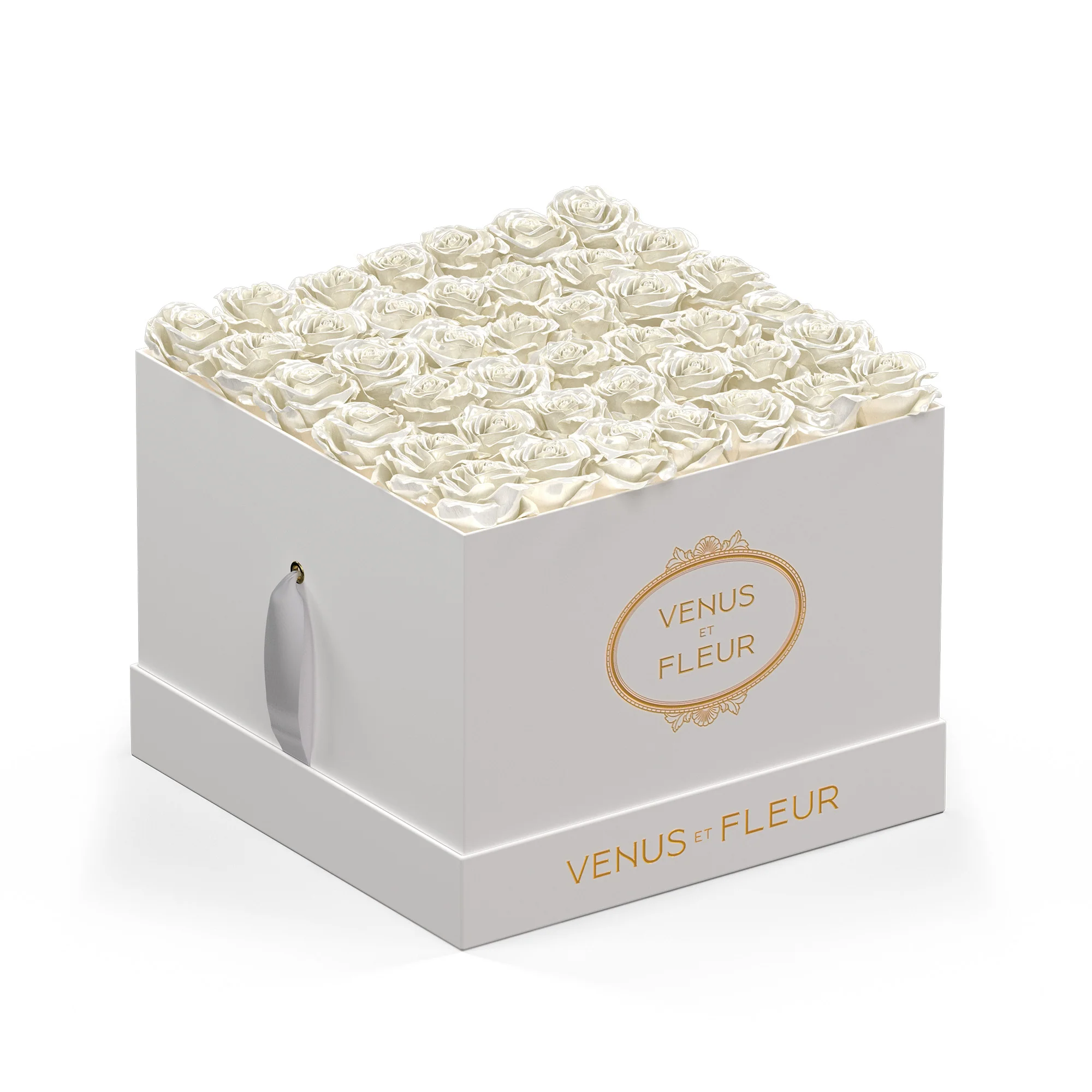 Large Square - Image 4