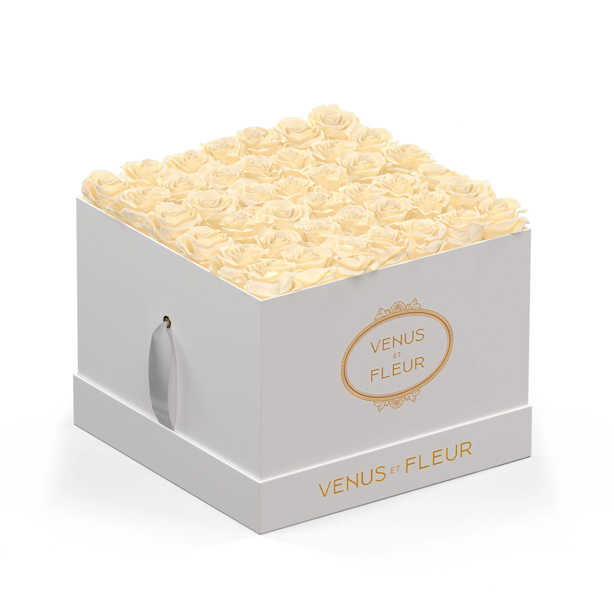 Large Square - Image 5