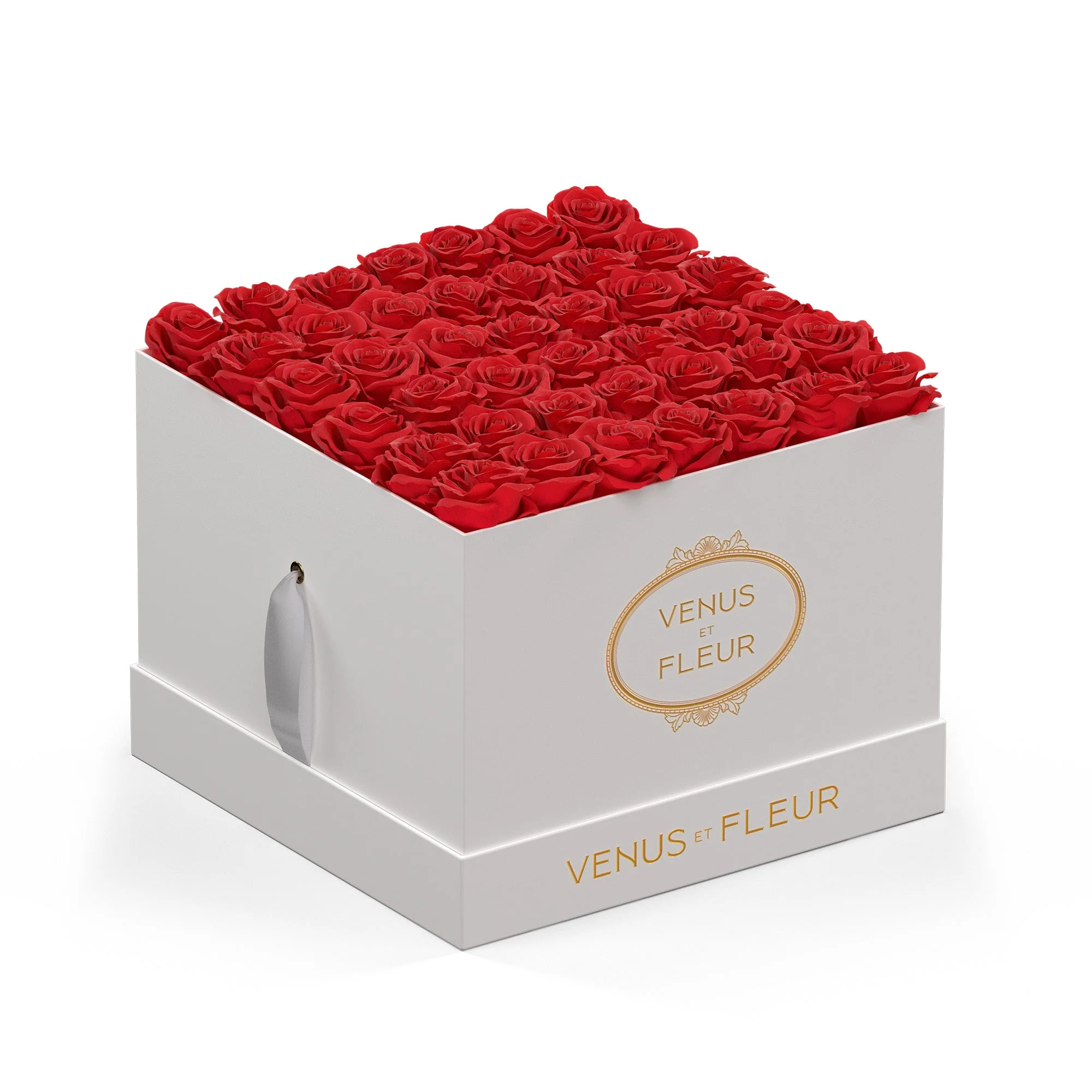 Large Square - Image 6