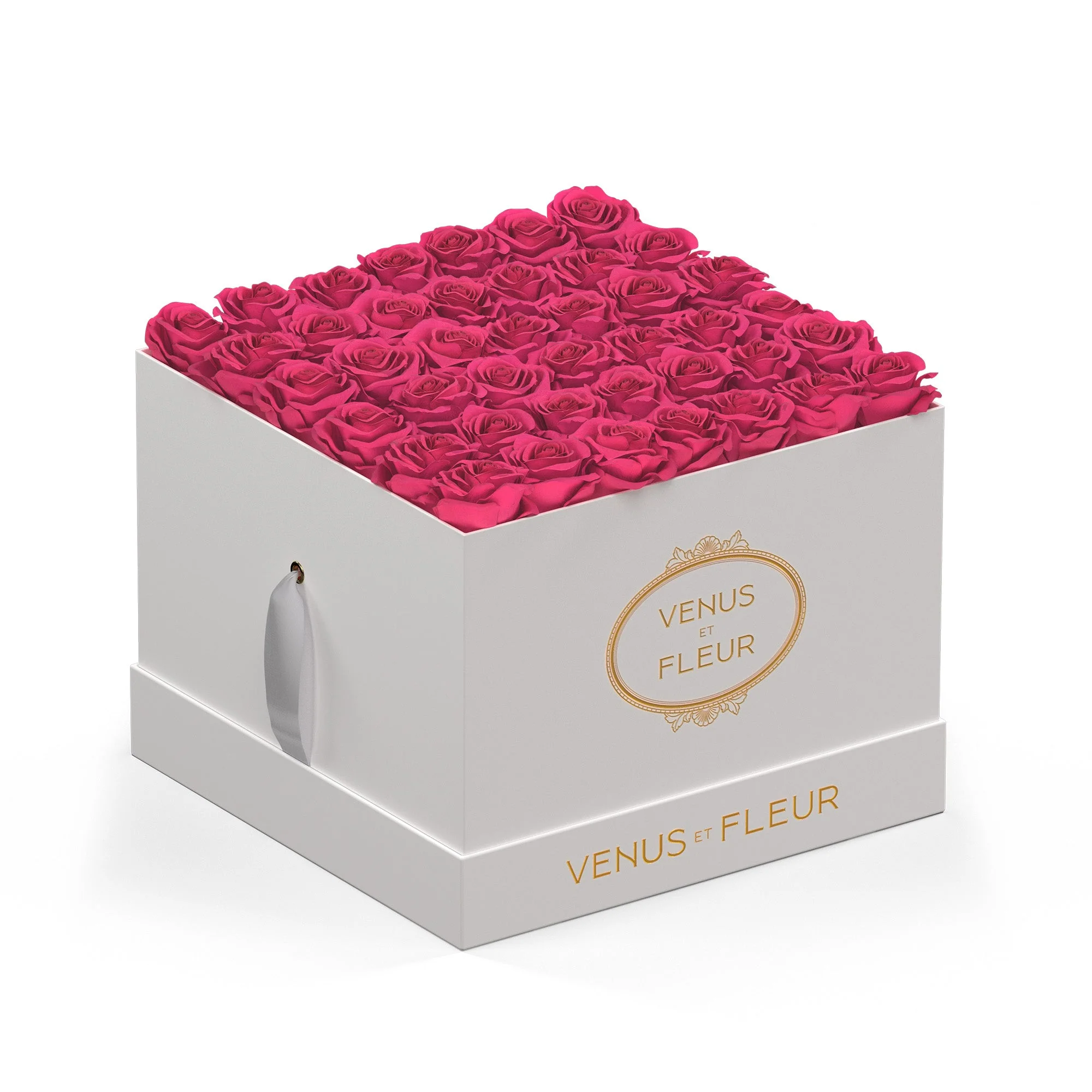 Large Square - Image 7