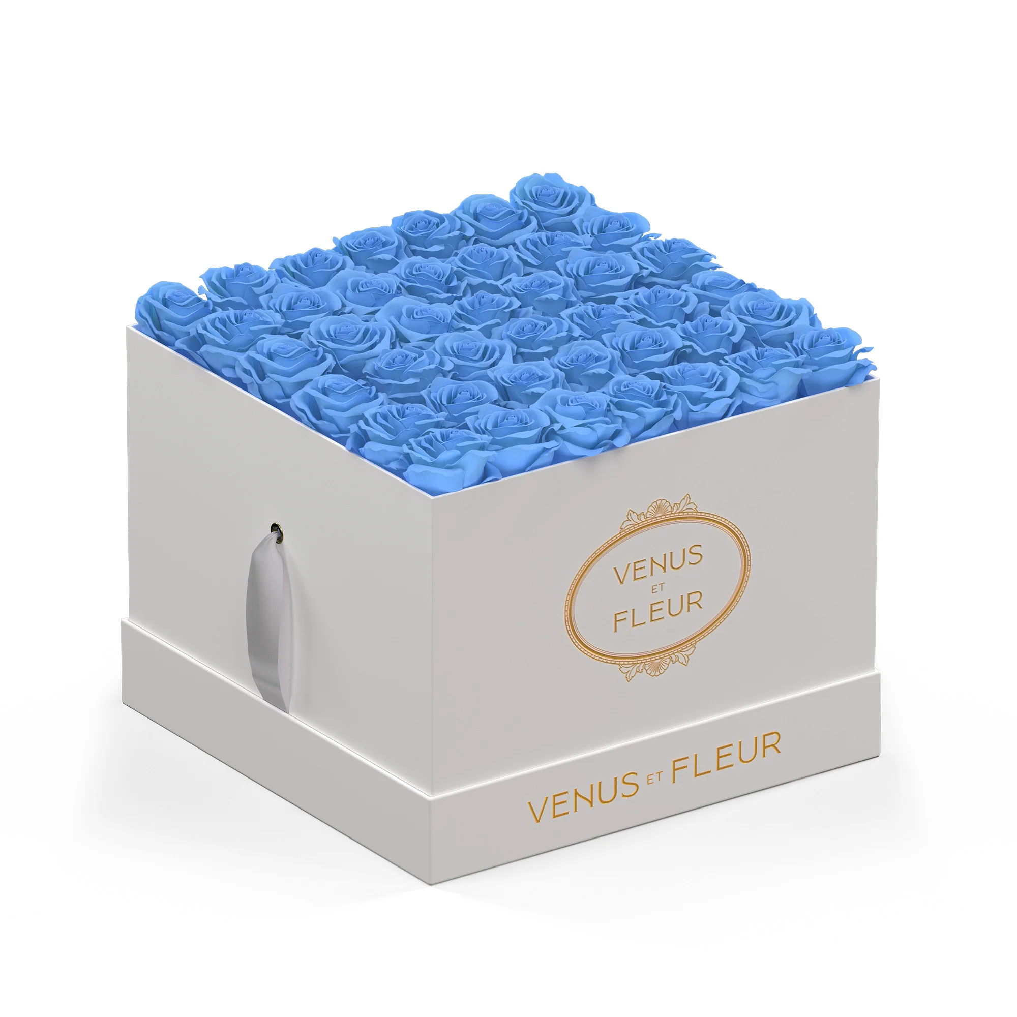 Large Square - Image 9