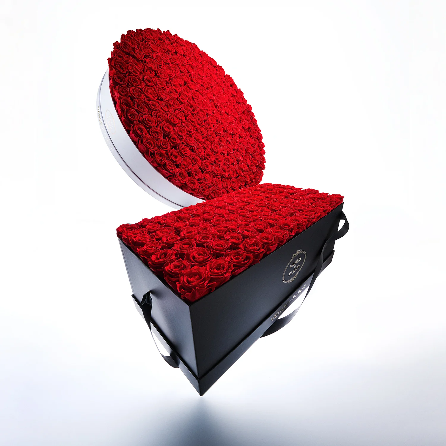 Le Duo Magnifique - Image 18