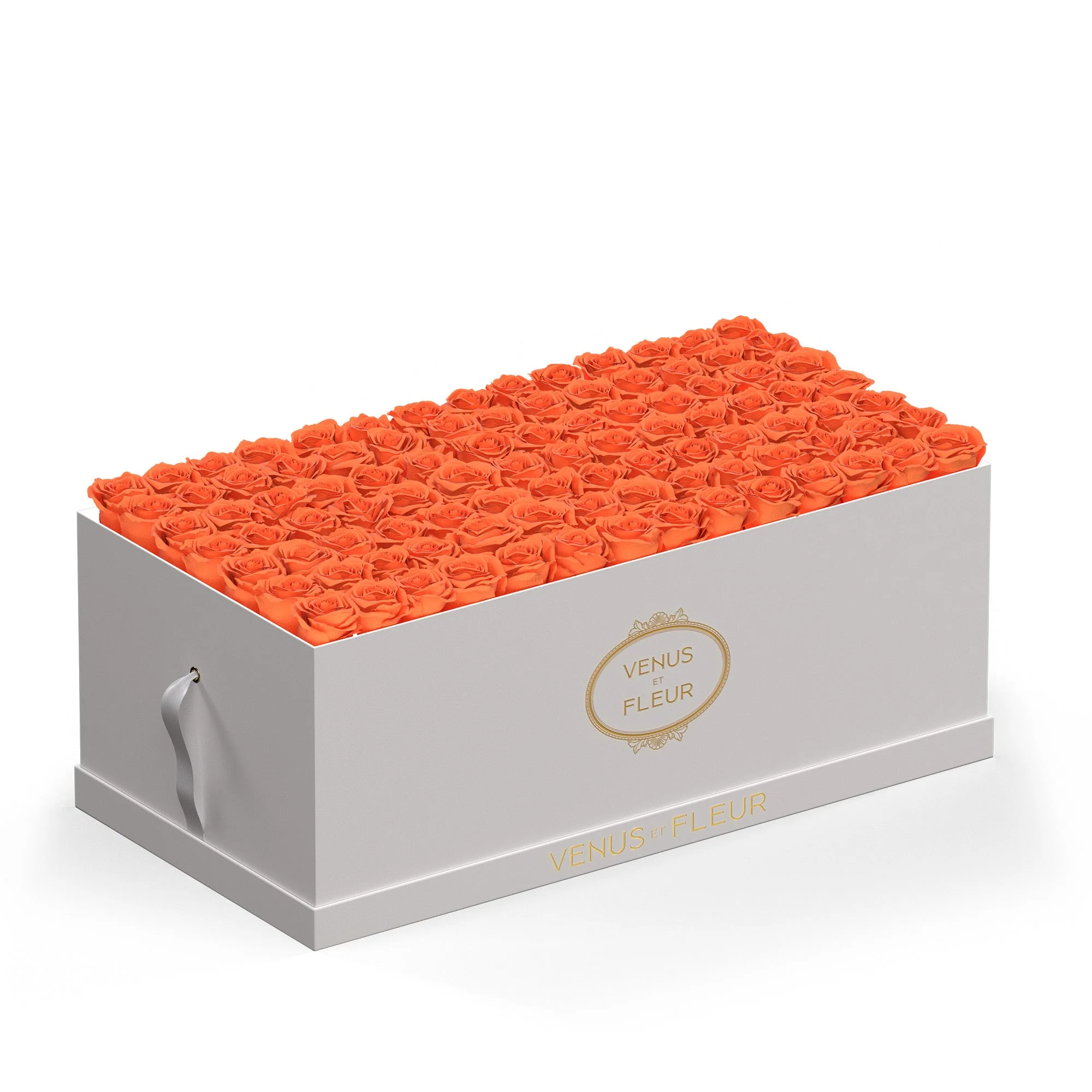 Le Duo Magnifique - Image 12