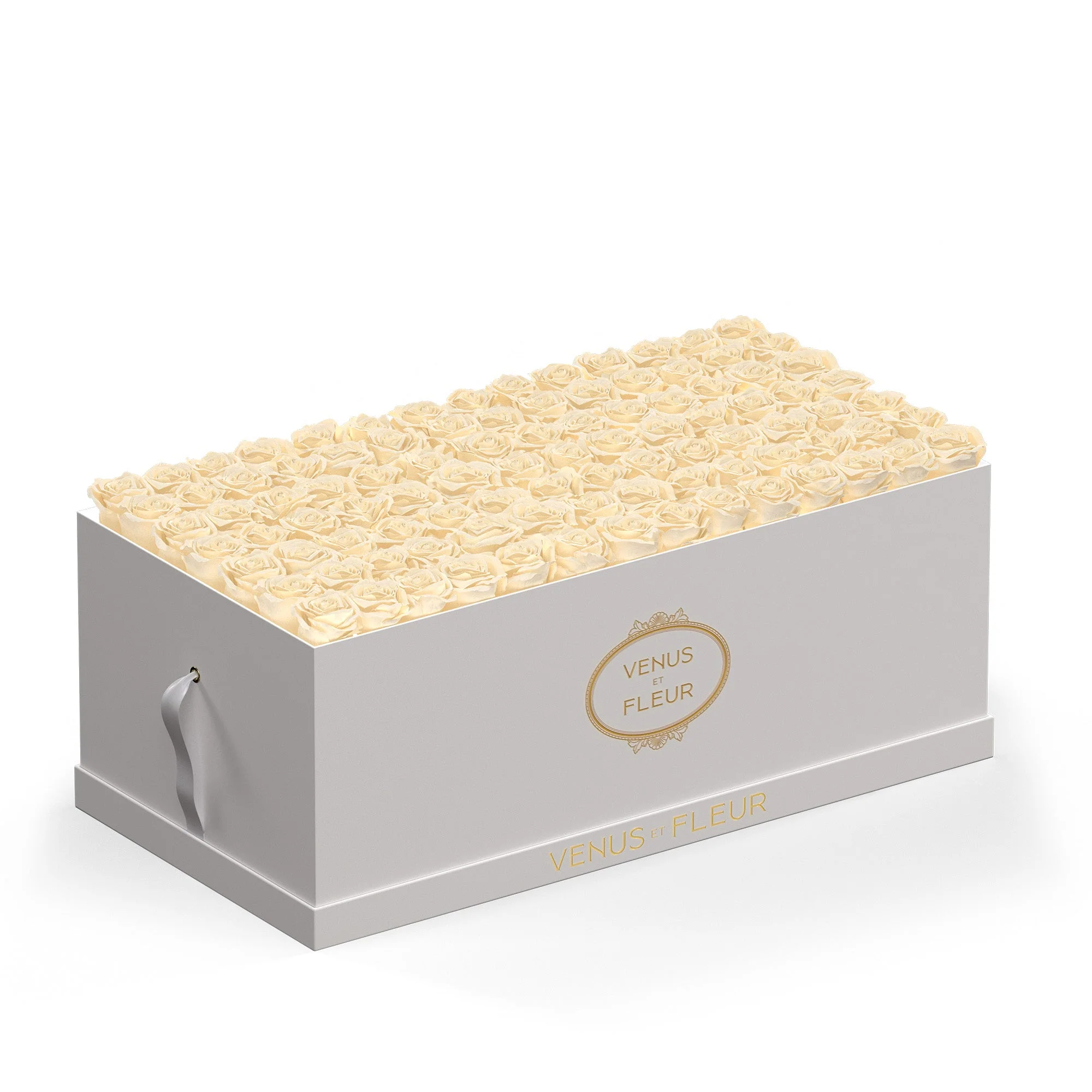 Le Duo Magnifique - Image 13