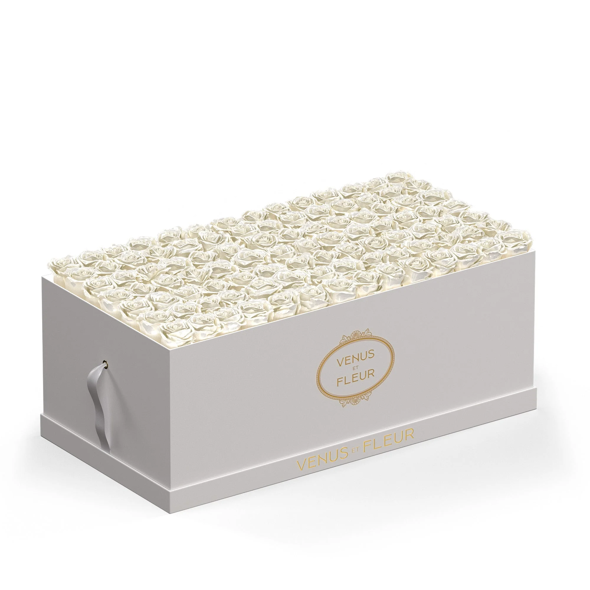 Le Duo Magnifique - Image 14