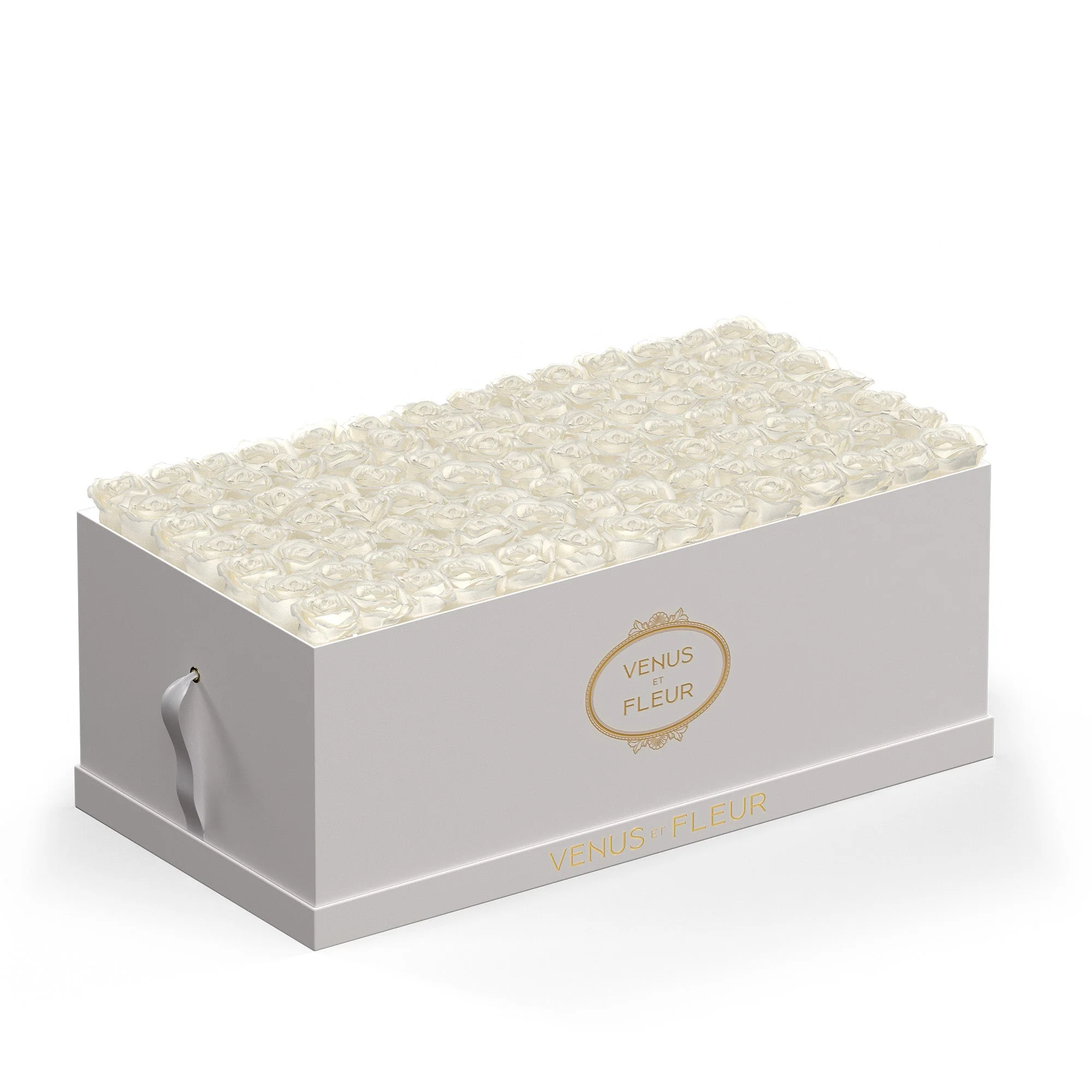 Le Duo Magnifique - Image 15