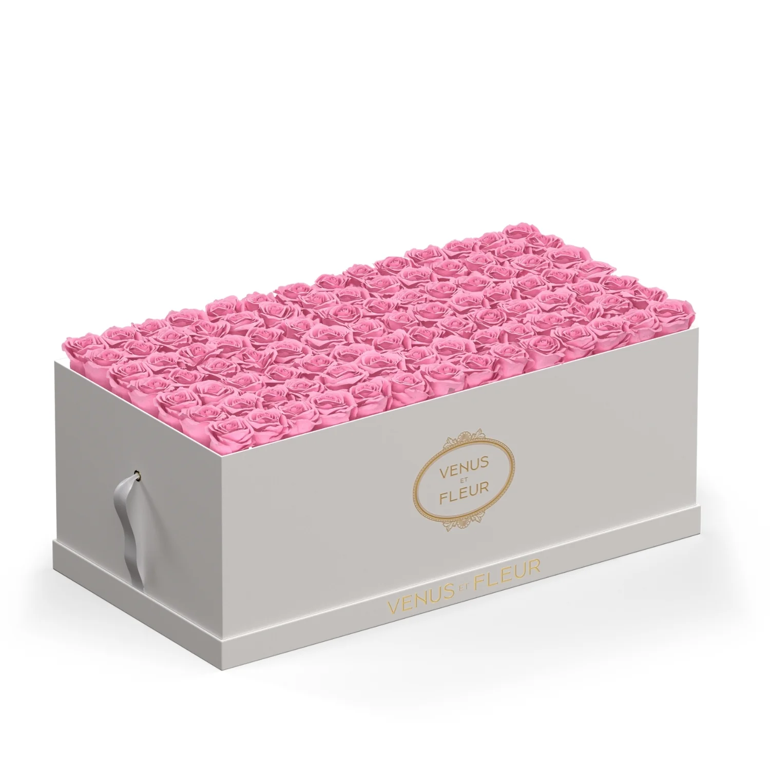 Le Duo Magnifique - Image 21