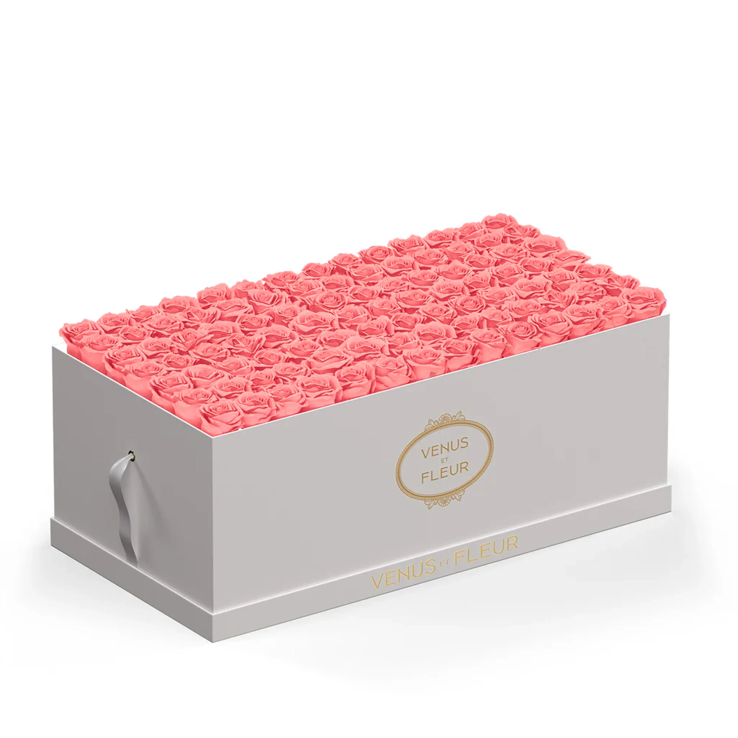 Le Duo Magnifique - Image 3