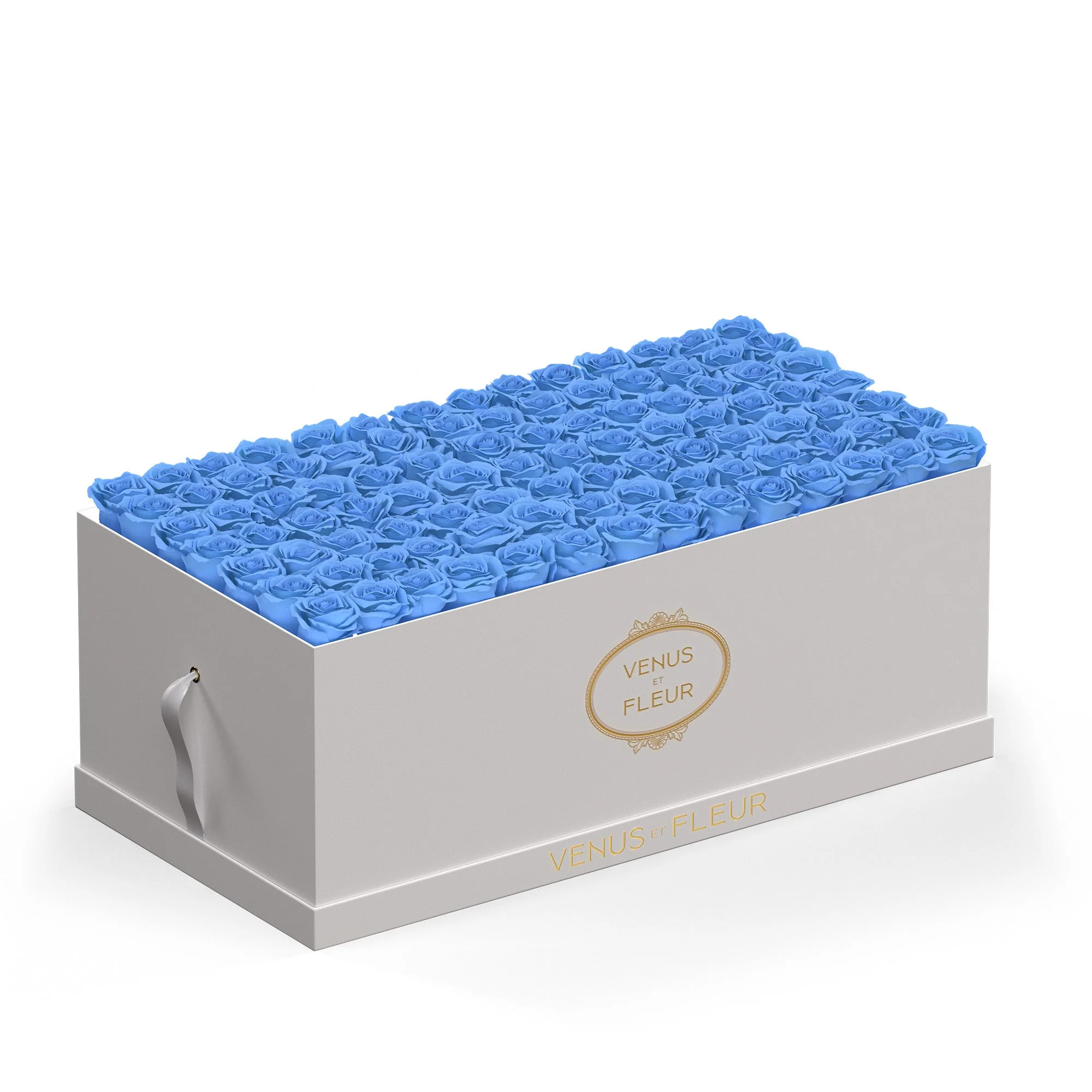 Le Duo Magnifique - Image 4