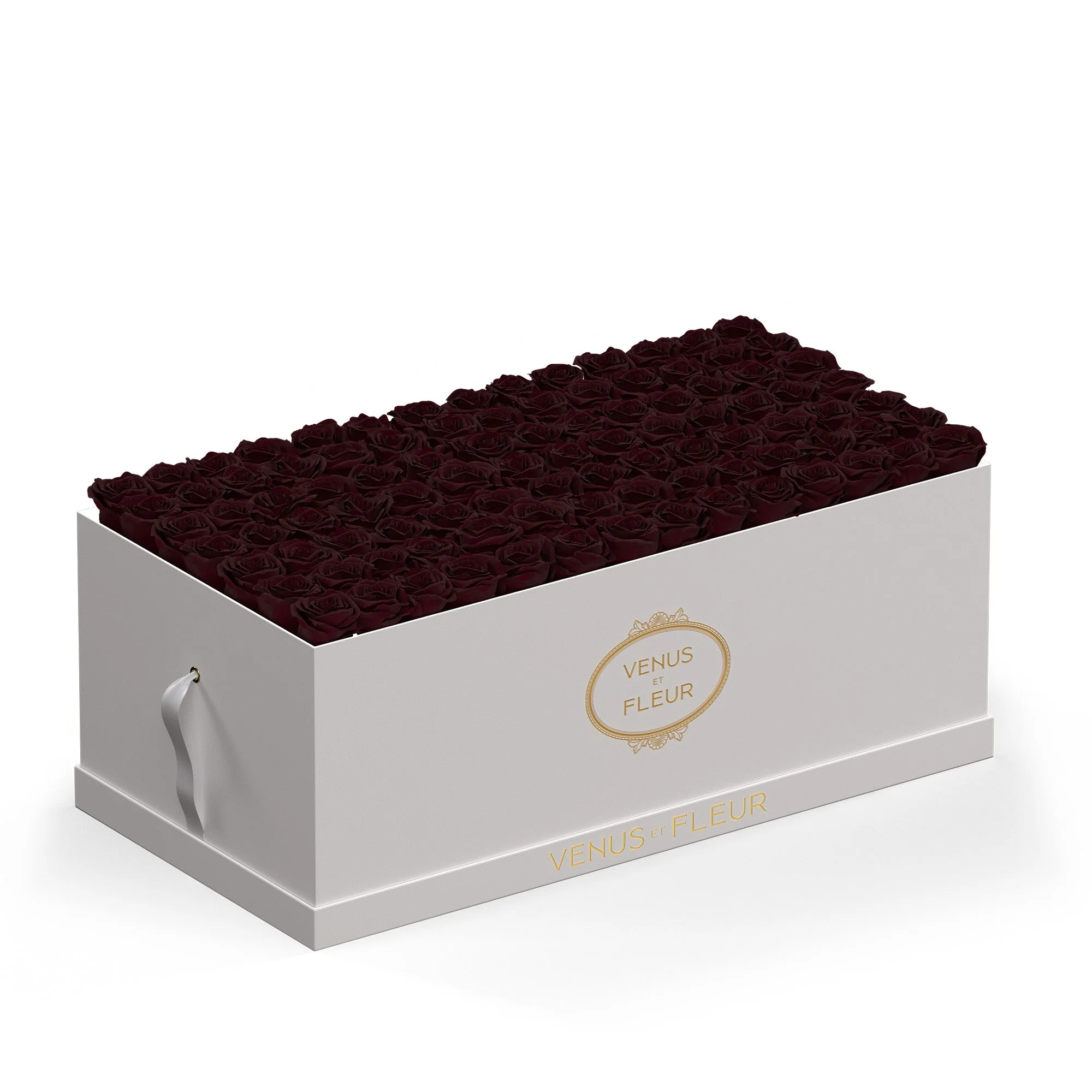 Le Duo Magnifique - Image 5