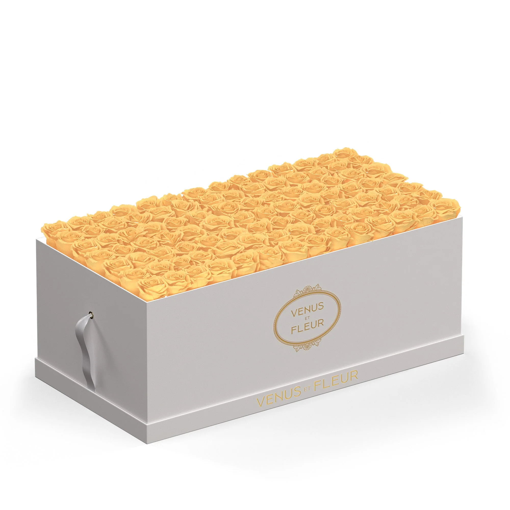 Le Duo Magnifique - Image 6