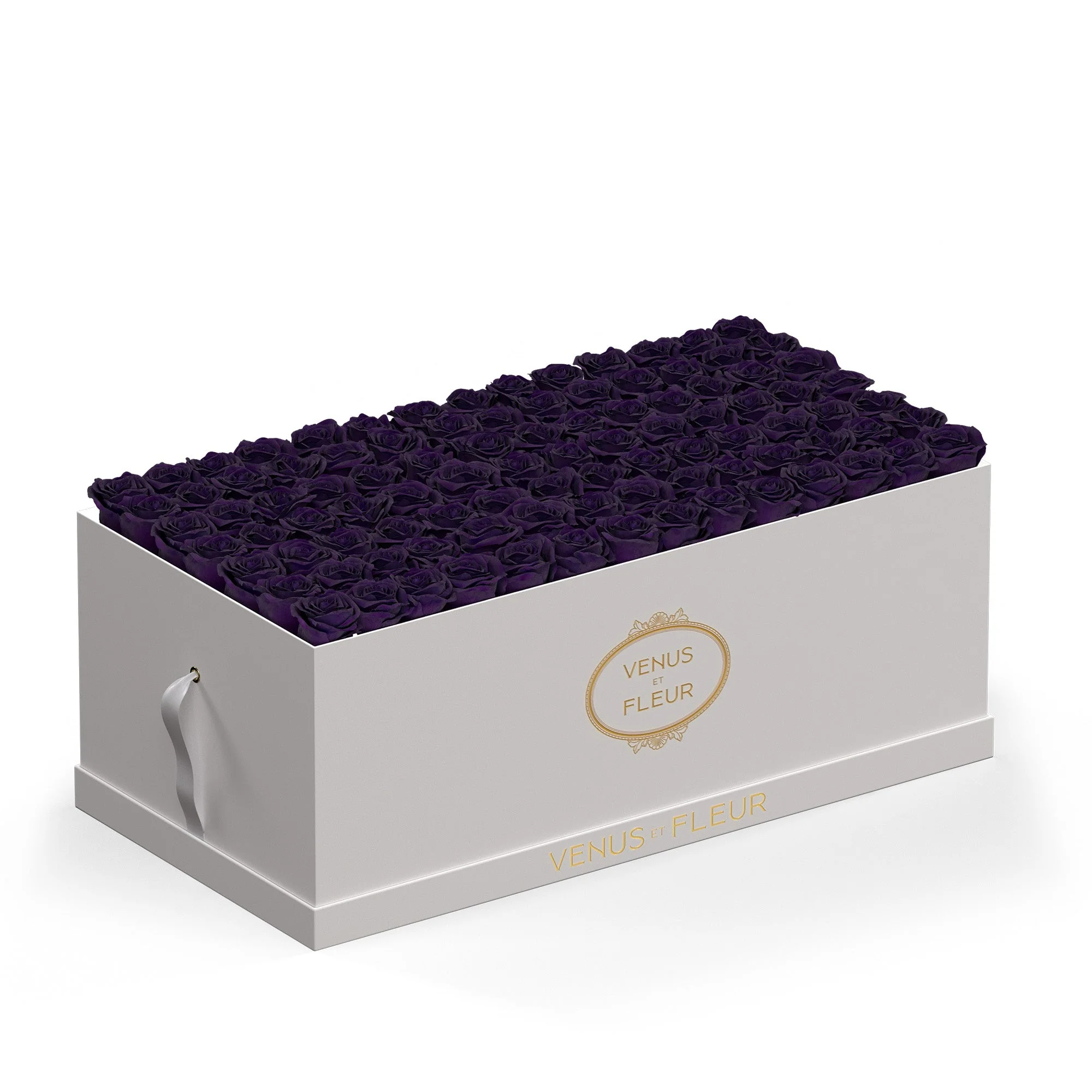 Le Duo Magnifique - Image 7