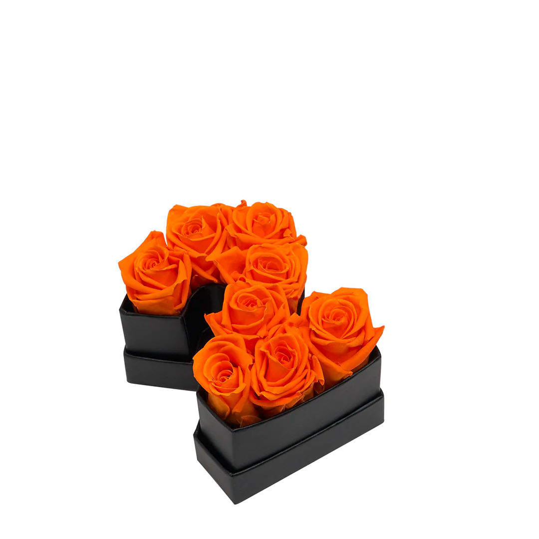 Le Mini Number - 2 - Image 12